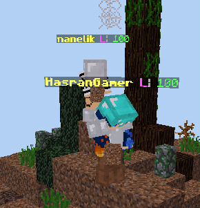 Screenshot_2017-12-25-21-13-44-1.png