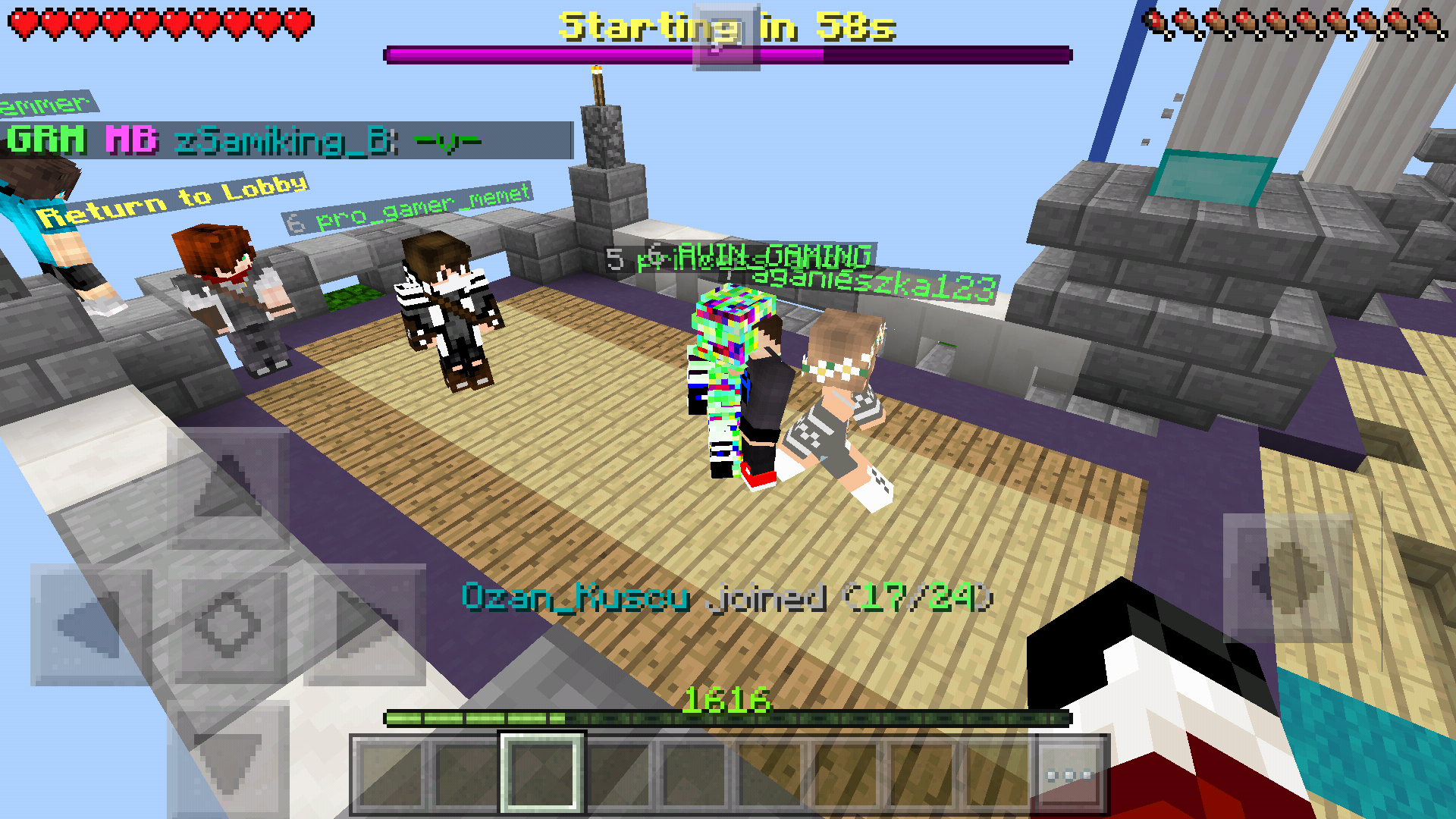 Screenshot_2017-12-30-01-58-04-338_com.mojang.minecraftpe.png
