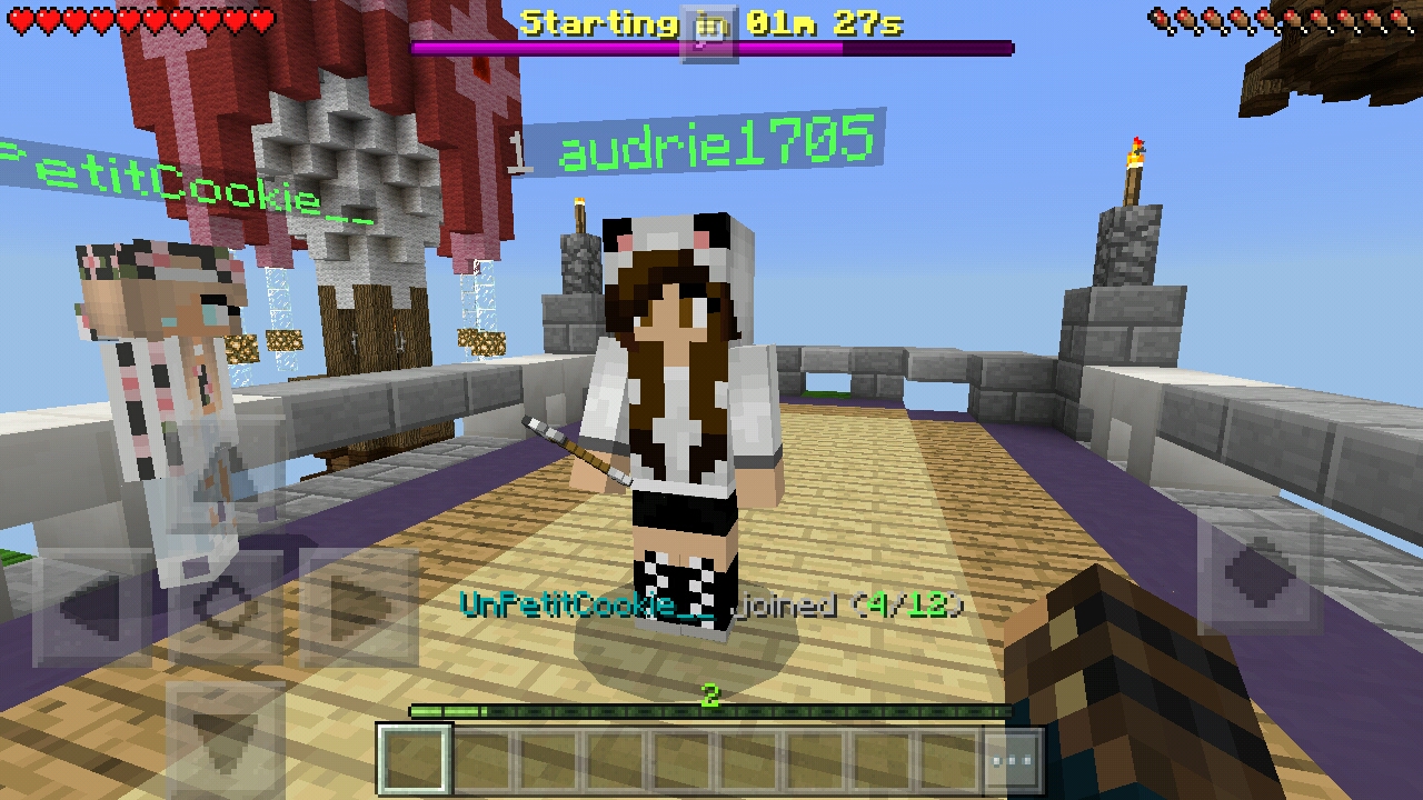 Screenshot_20170110_232015.jpg