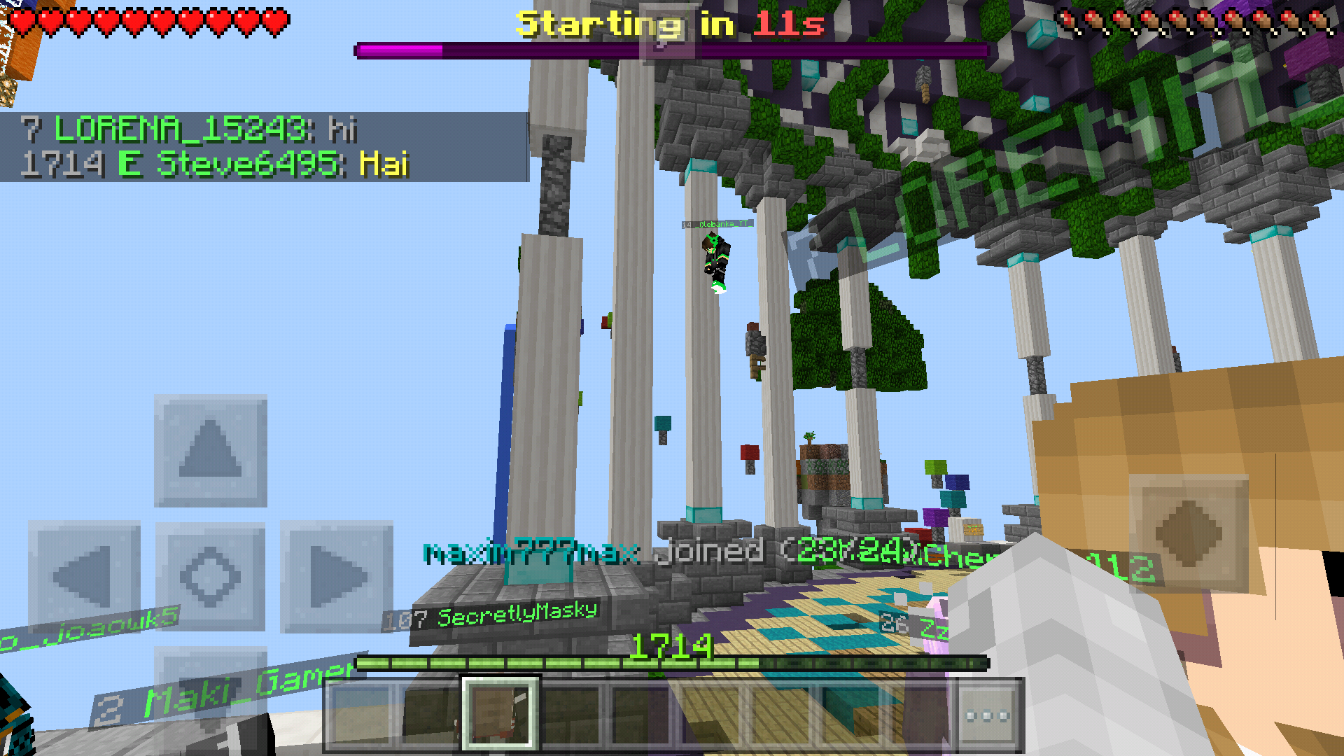 Screenshot_2018-01-08-19-29-50-791_com.mojang.minecraftpe.png