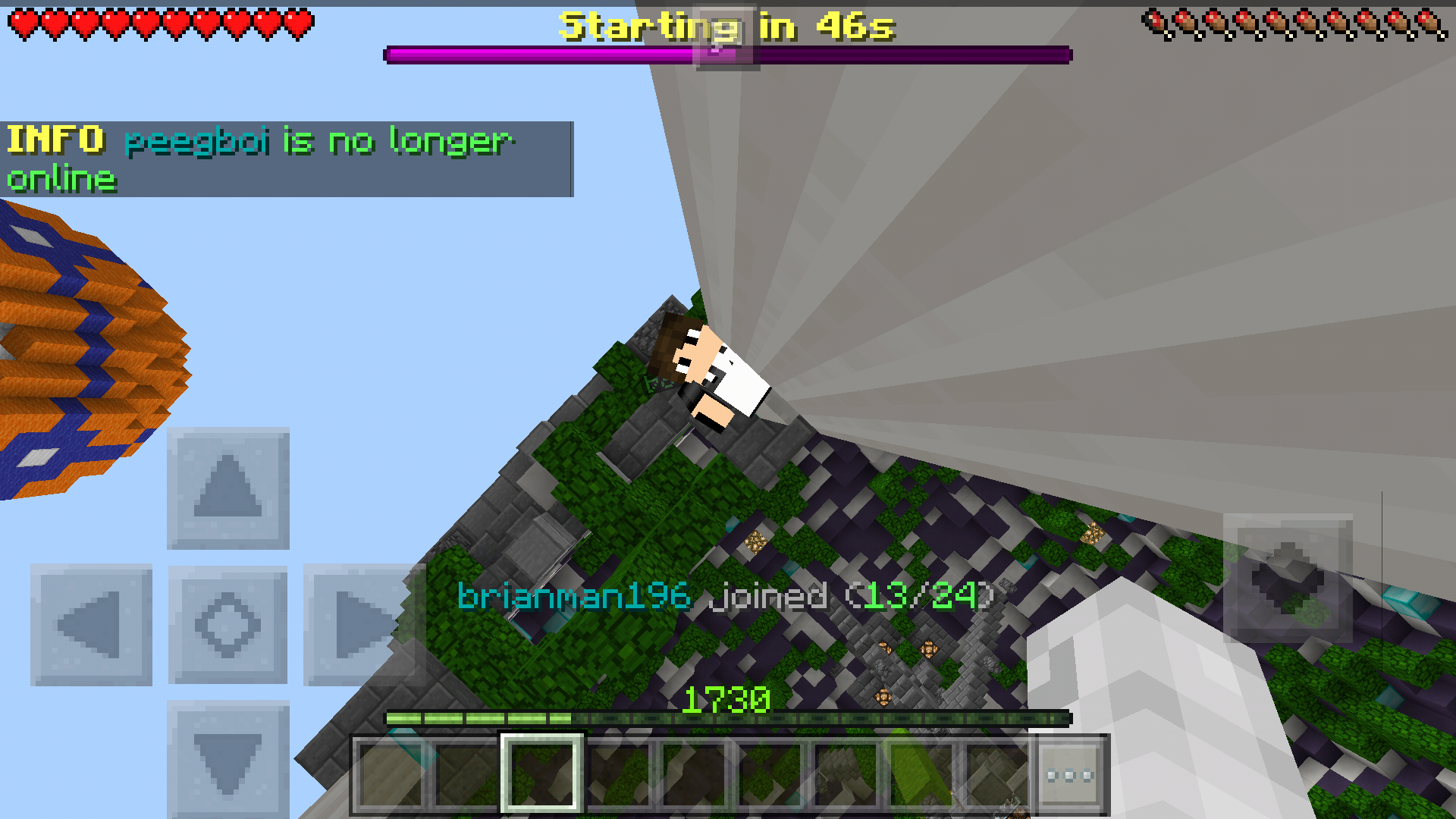 Screenshot_2018-01-12-18-15-55-024_com.mojang.minecraftpe.png