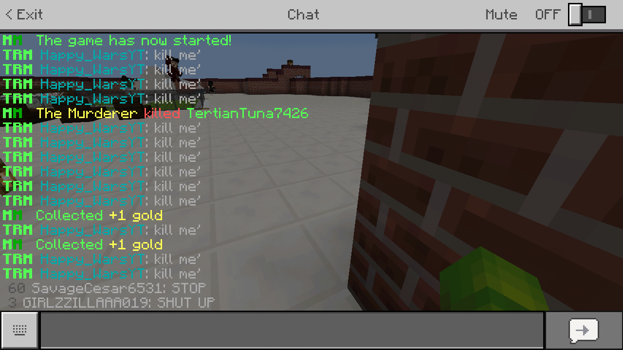 Screenshot_2018-03-19-08-15-00-596_com.mojang.minecraftpe.png