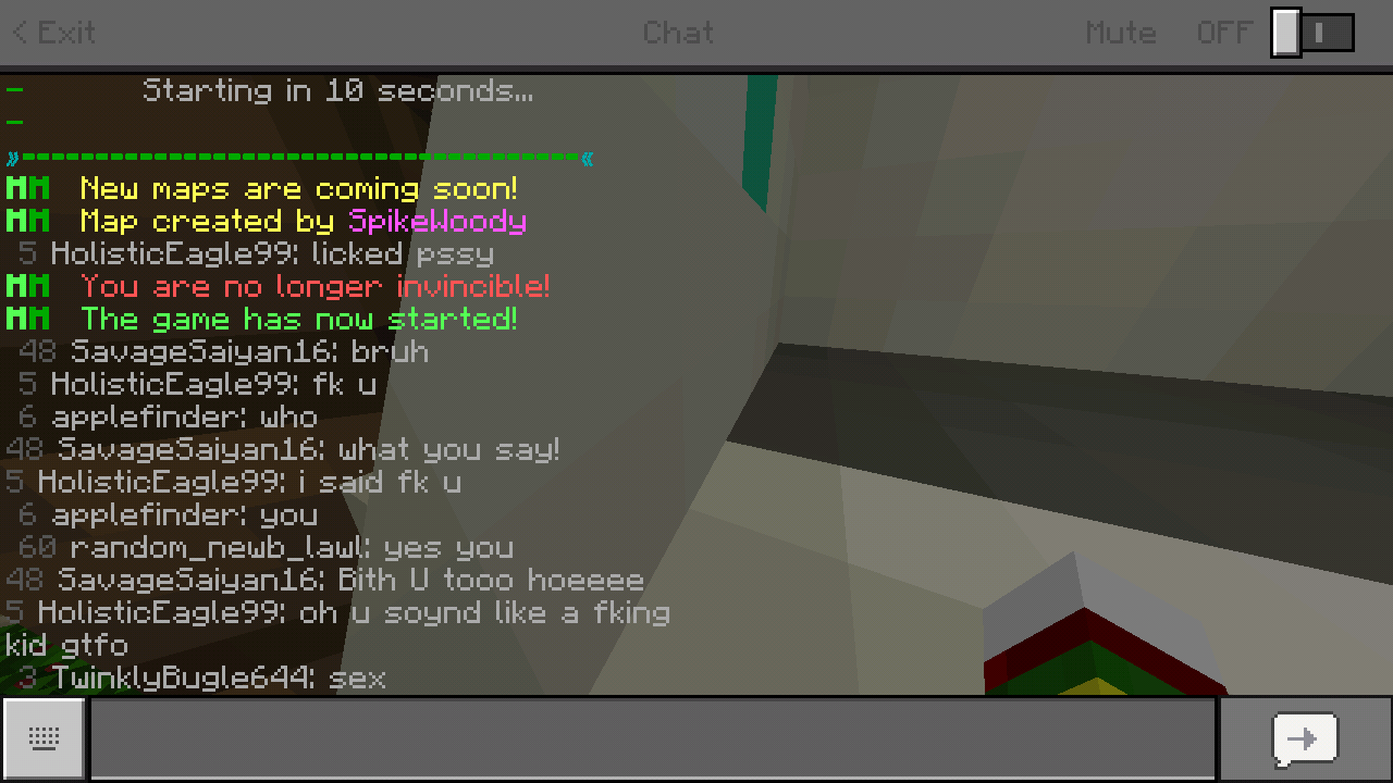 Screenshot_2018-03-31-10-58-05-196_com.mojang.minecraftpe.png