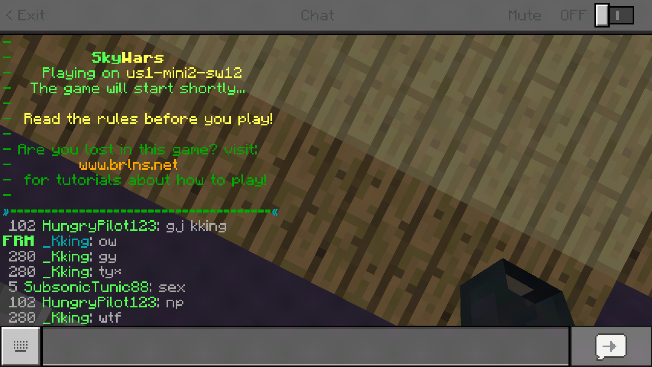 Screenshot_2018-04-22-13-11-51-626_com.mojang.minecraftpe.png