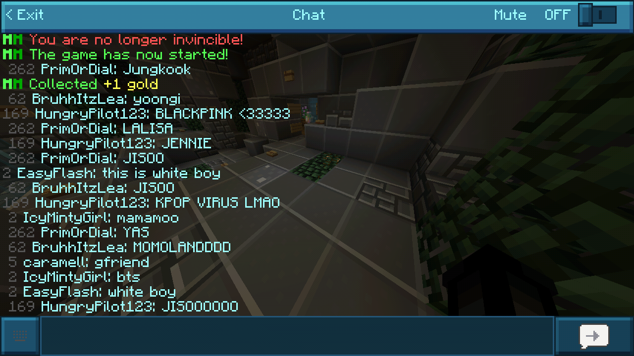 Screenshot_2018-05-12-18-34-44-341_com.mojang.minecraftpe.png