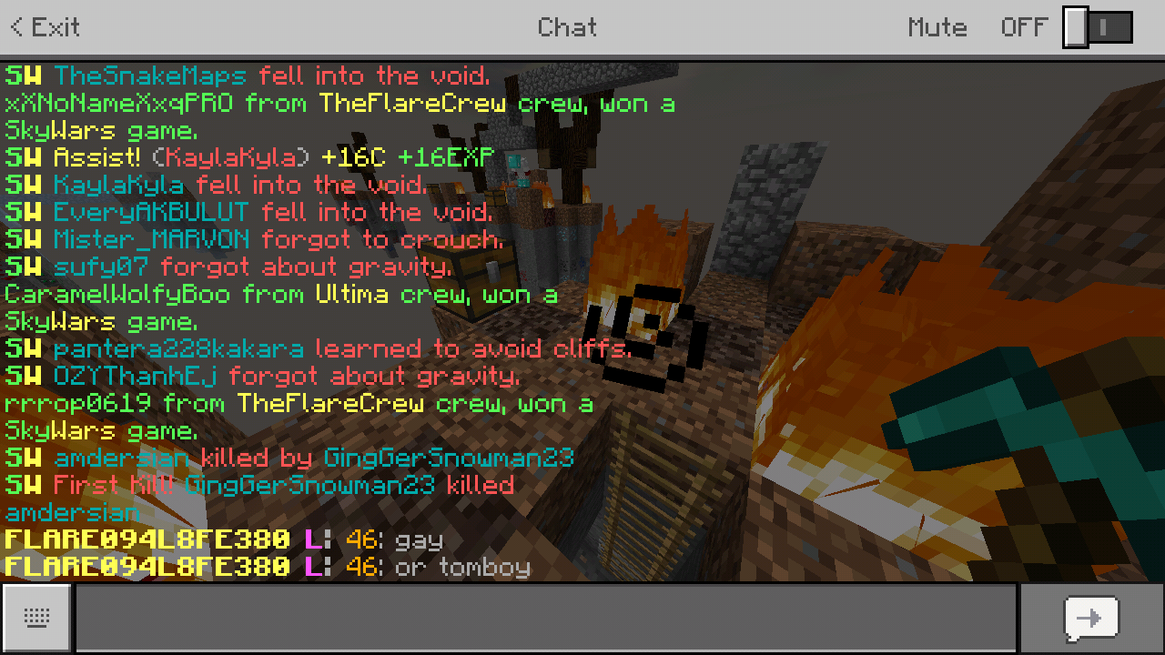 Screenshot_2018-06-13-14-51-24-882_com.mojang.minecraftpe.png