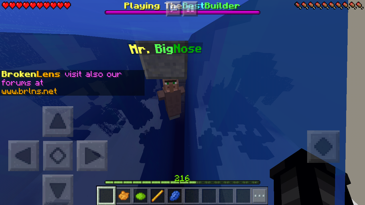 Screenshot_2018-06-14-11-30-53-298_com.mojang.minecraftpe.png