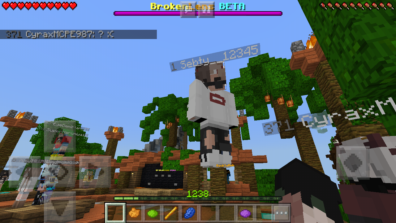 Screenshot_2018-06-19-20-25-35-611_com.mojang.minecraftpe.png