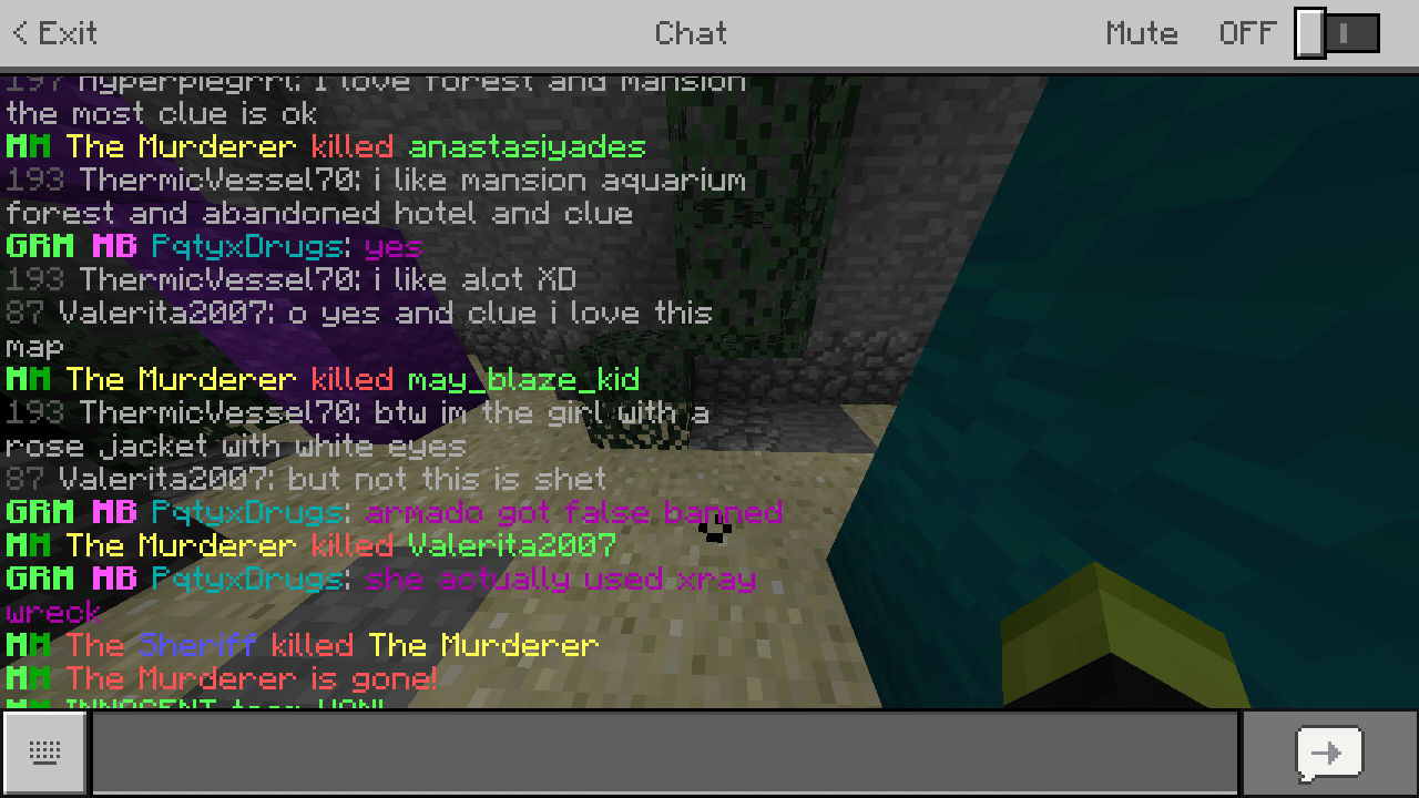 Screenshot_2018-07-22-00-23-57-997_com.mojang.minecraftpe.png