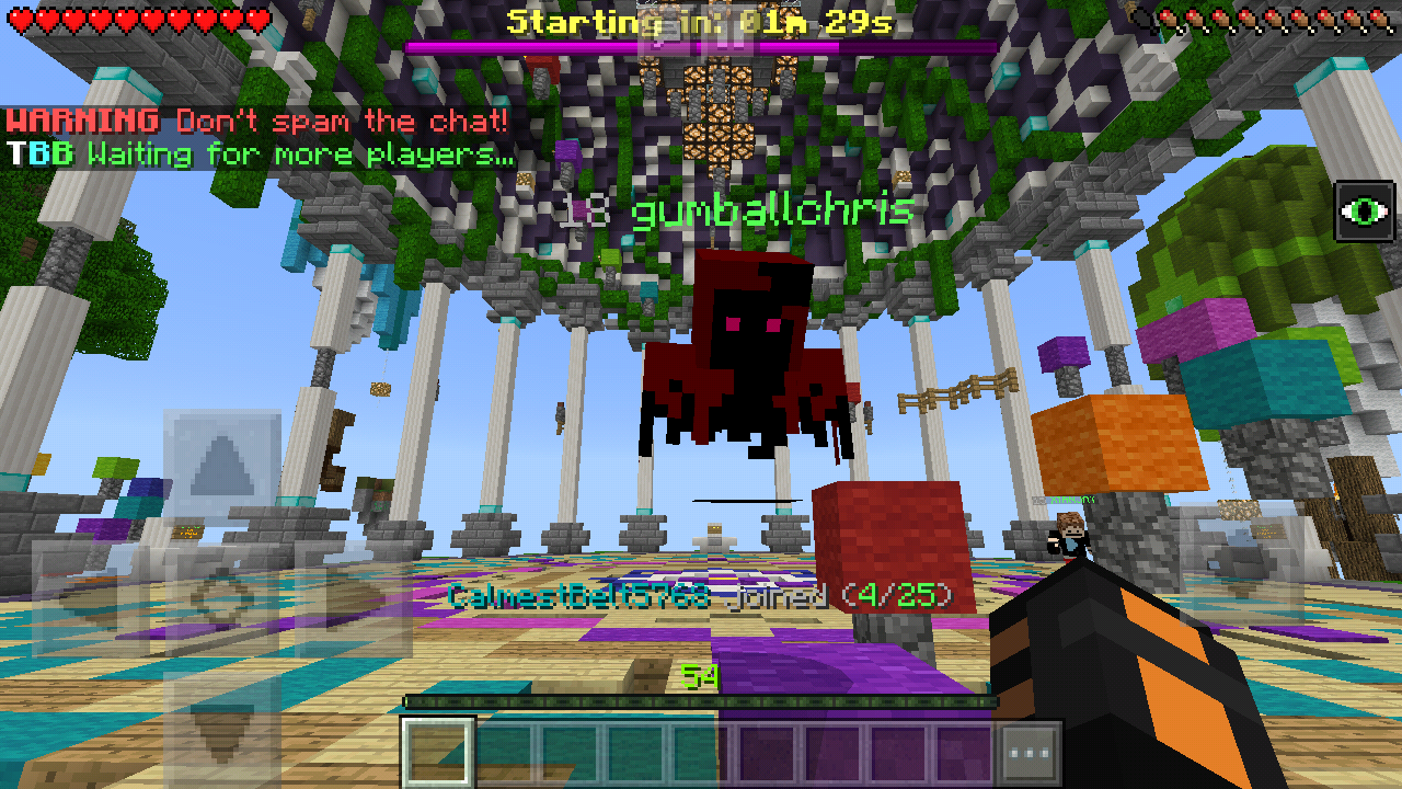 Screenshot_2018-08-12-11-54-50-064_com.mojang.minecraftpe.png