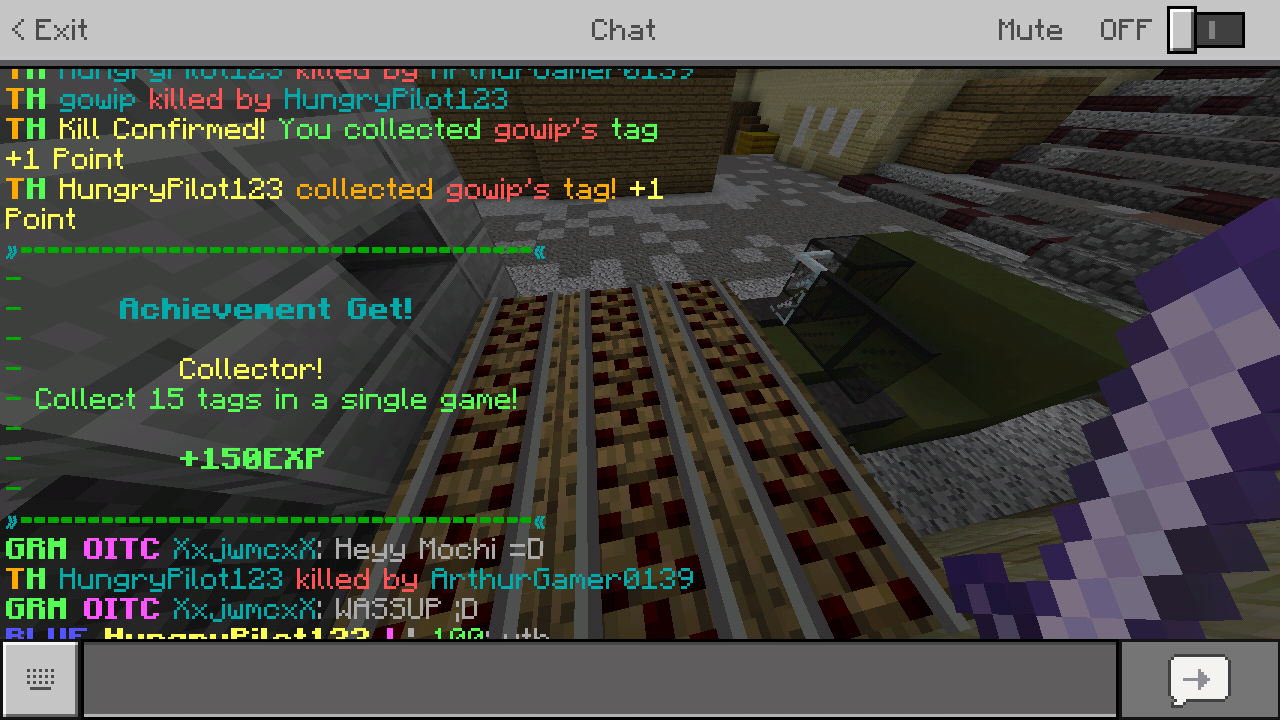 Screenshot_2018-08-20-23-37-52-548_com.mojang.minecraftpe.png