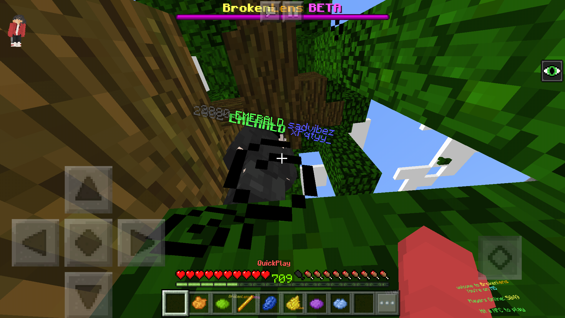 Screenshot_2018-08-21-21-13-06-010_com.mojang.minecraftpe.png