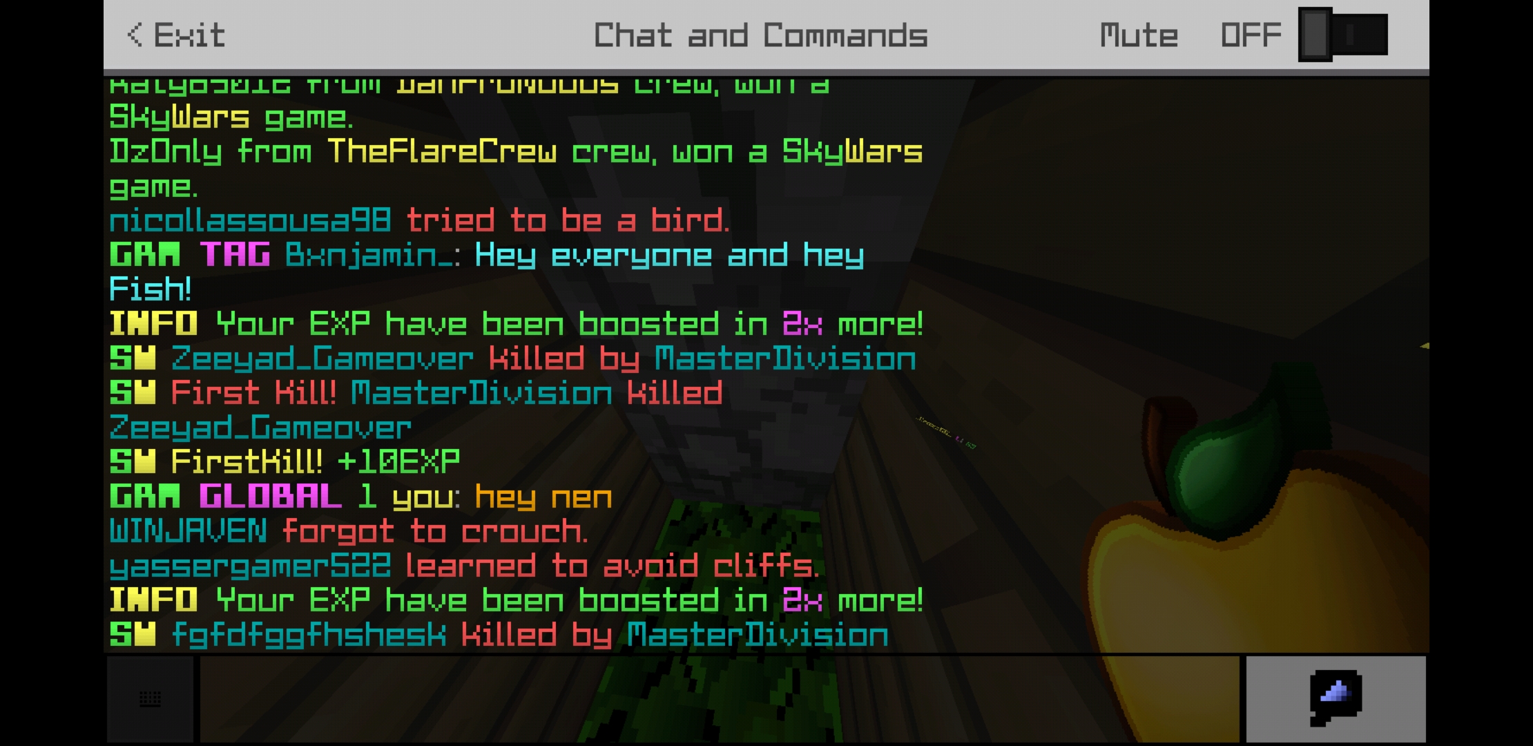 Screenshot_20180807-192223_Minecraft.jpg