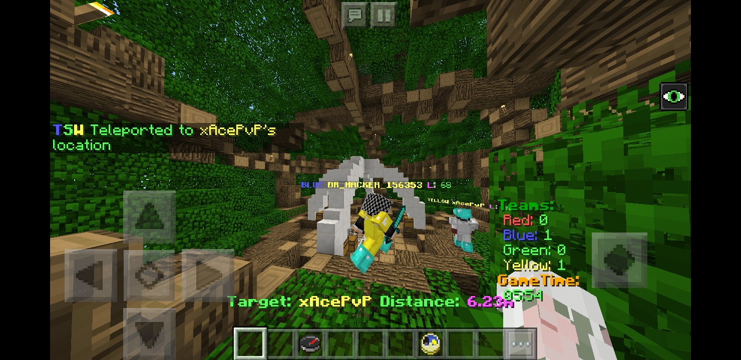 Screenshot_20180810-190537_Minecraft.jpg
