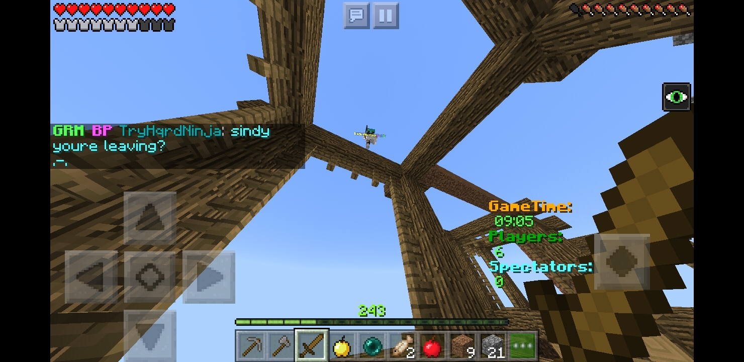 Screenshot_20180810-231153_Minecraft.jpg