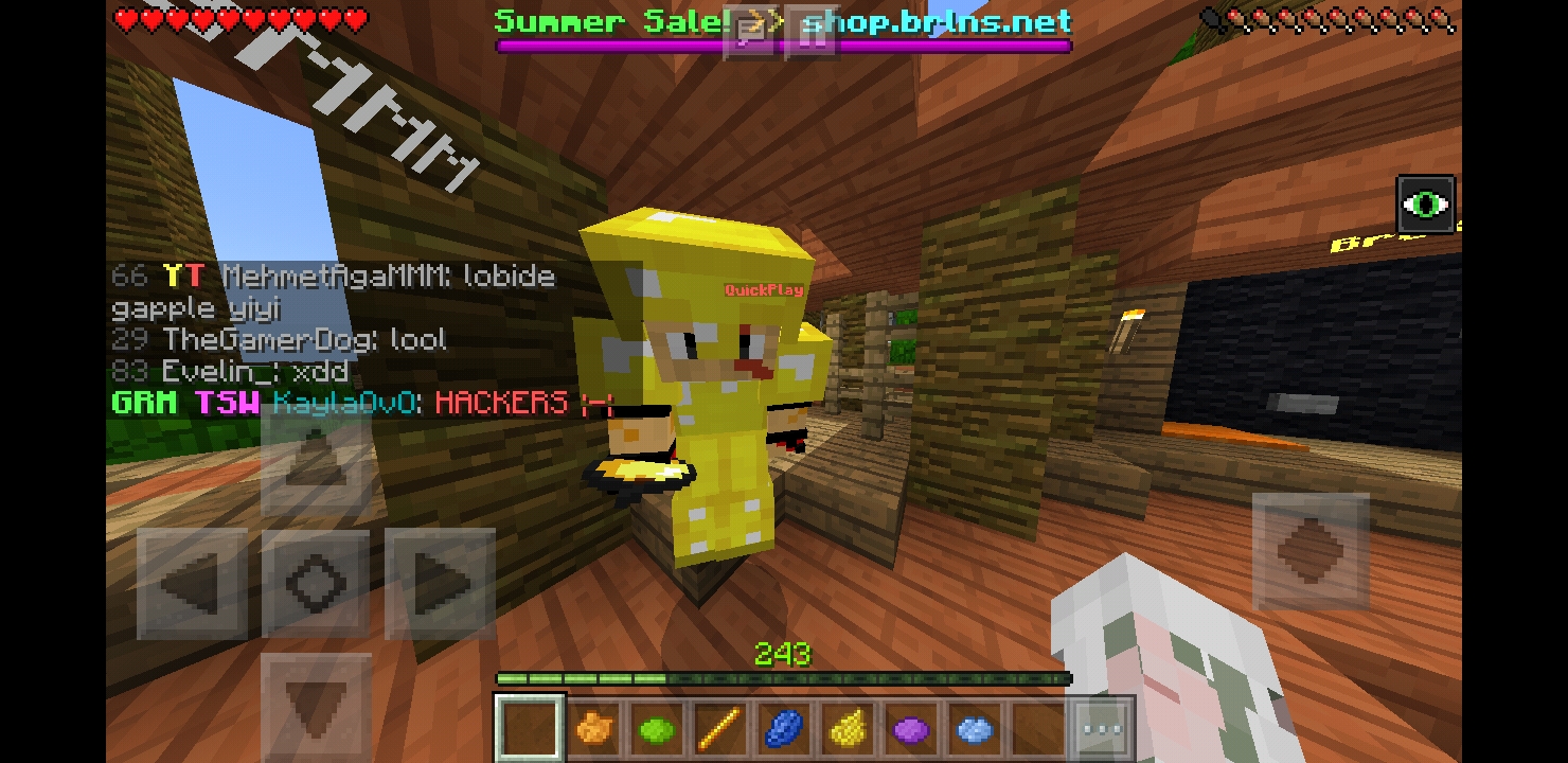 Screenshot_20180810-232316_Minecraft.jpg