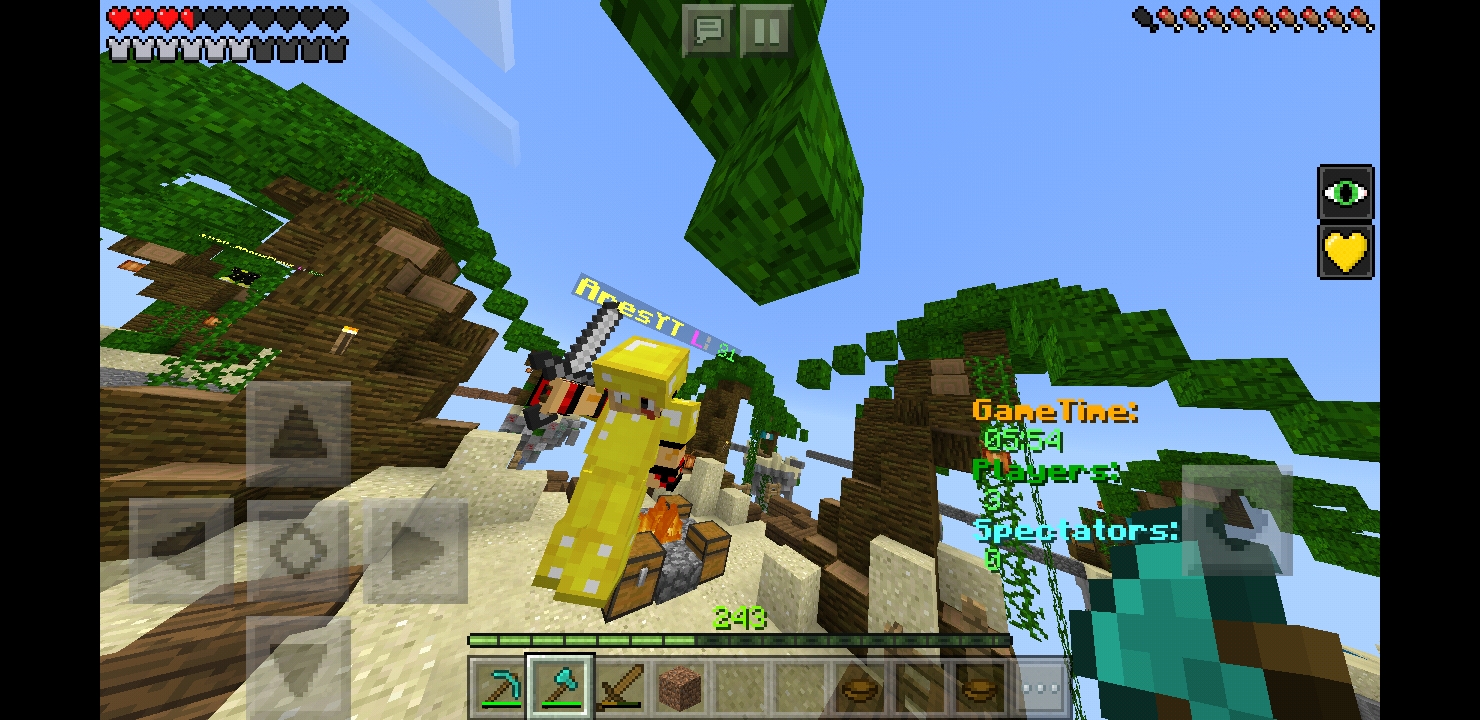 Screenshot_20180811-123816_Minecraft.jpg