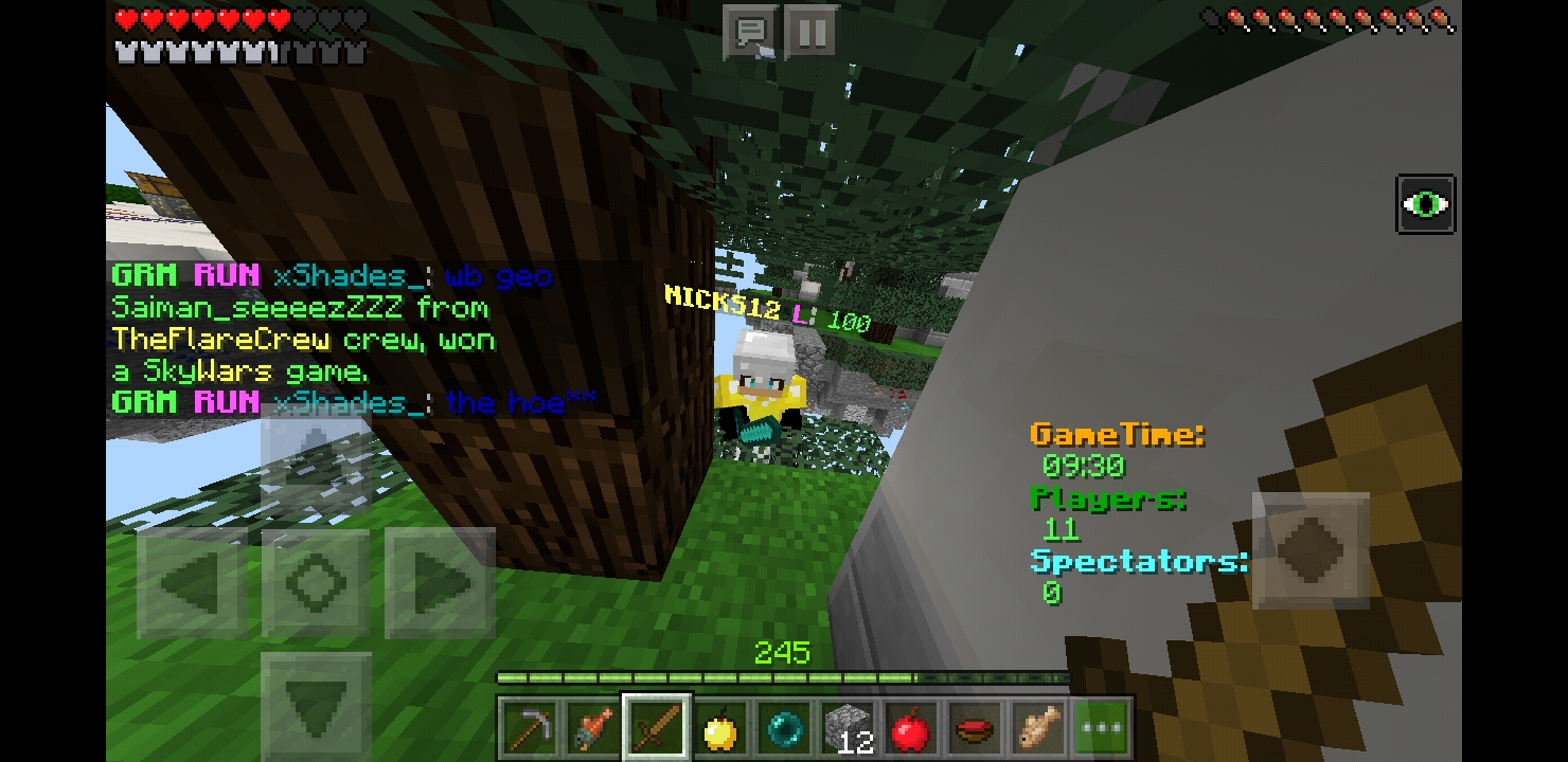 Screenshot_20180812-225535_Minecraft.jpg
