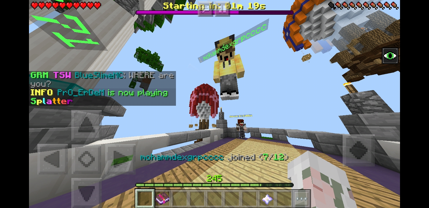 Screenshot_20180812-231355_Minecraft.jpg