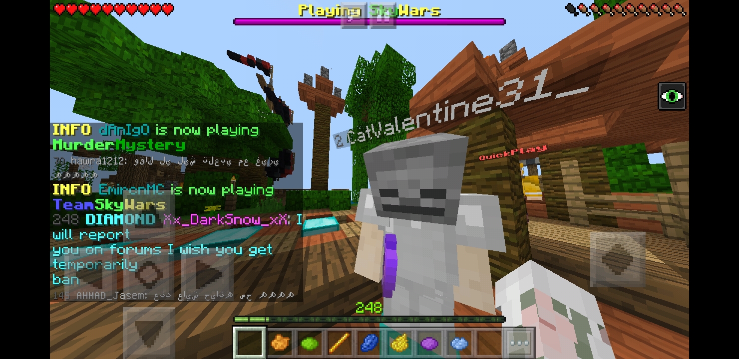 Screenshot_20180814-124200_Minecraft.jpg