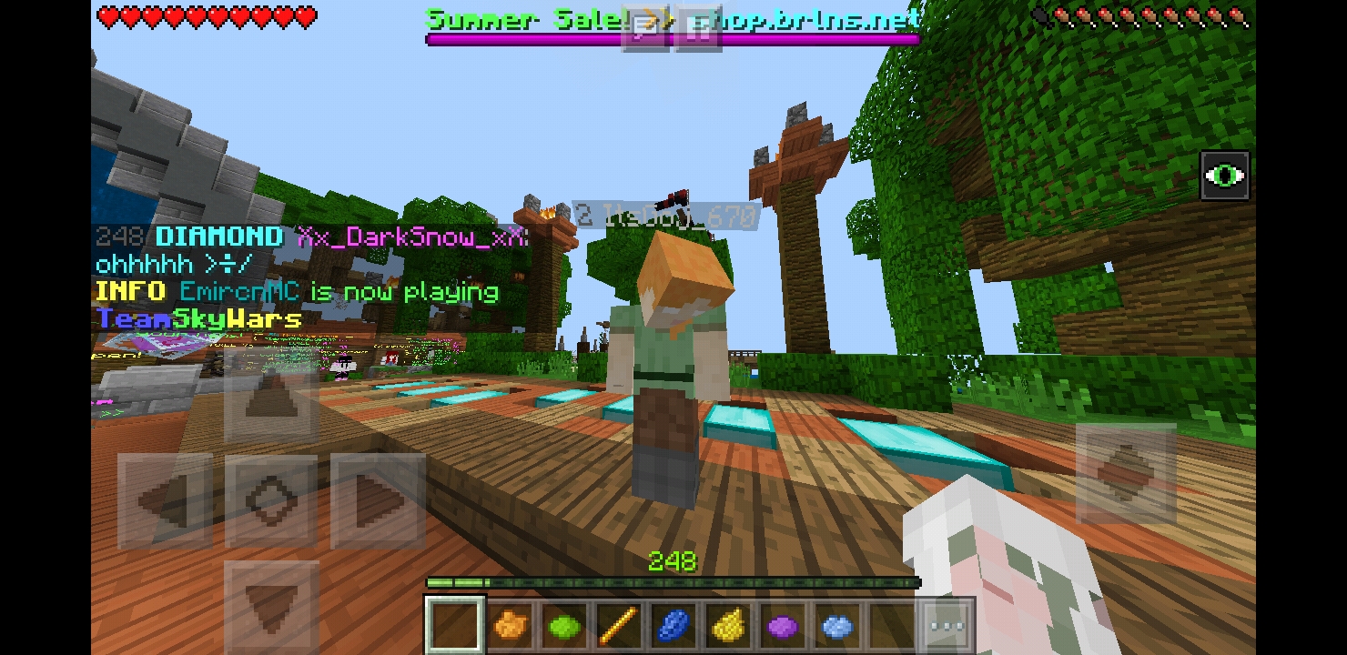 Screenshot_20180814-124229_Minecraft.jpg