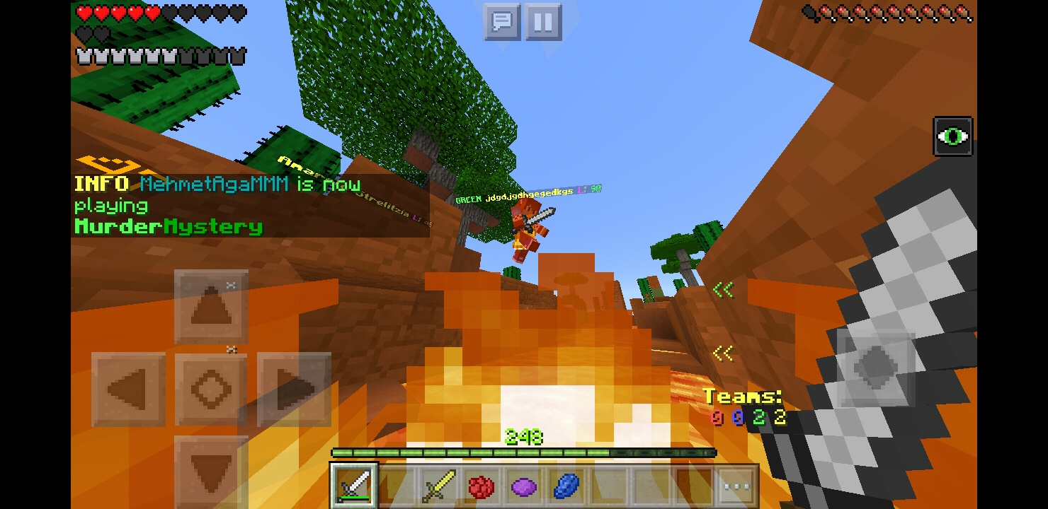 Screenshot_20180814-194206_Minecraft.jpg