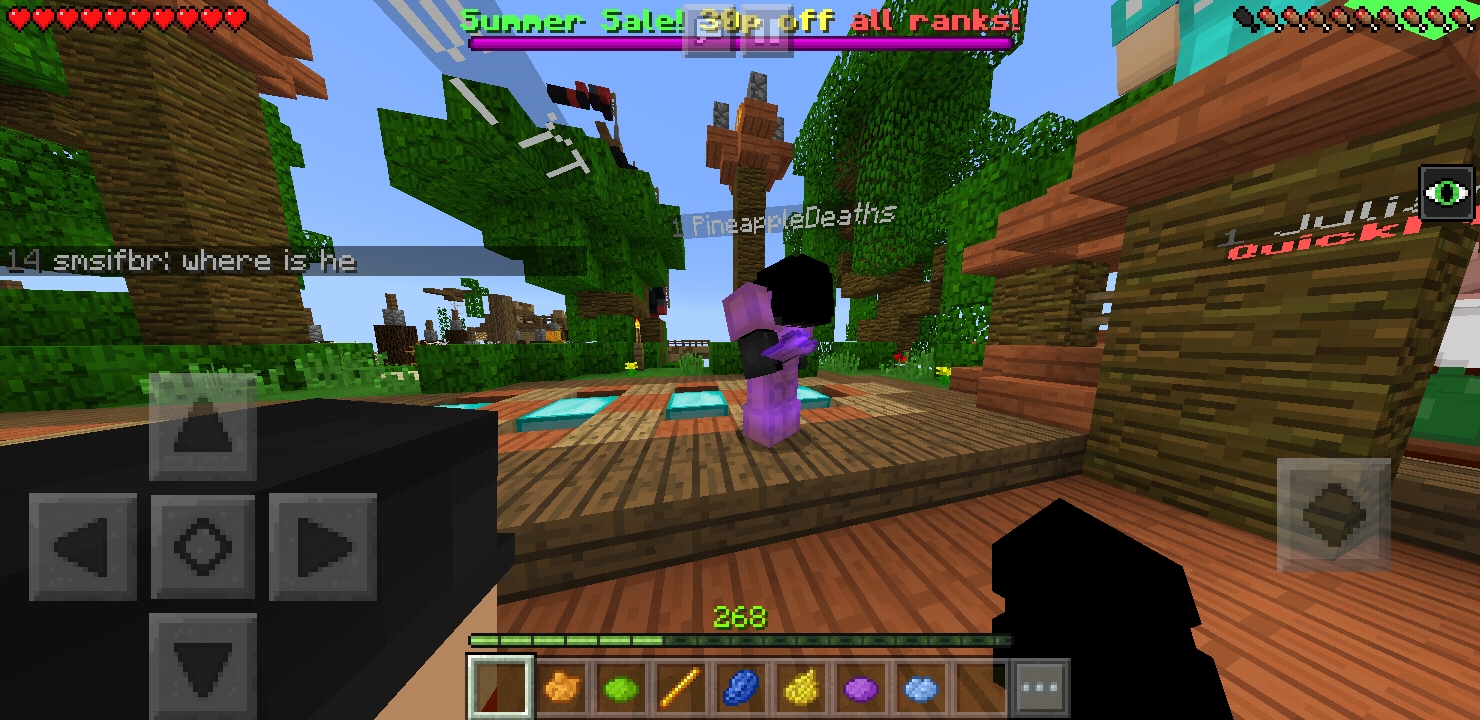 Screenshot_20180824-004238_Minecraft.jpg
