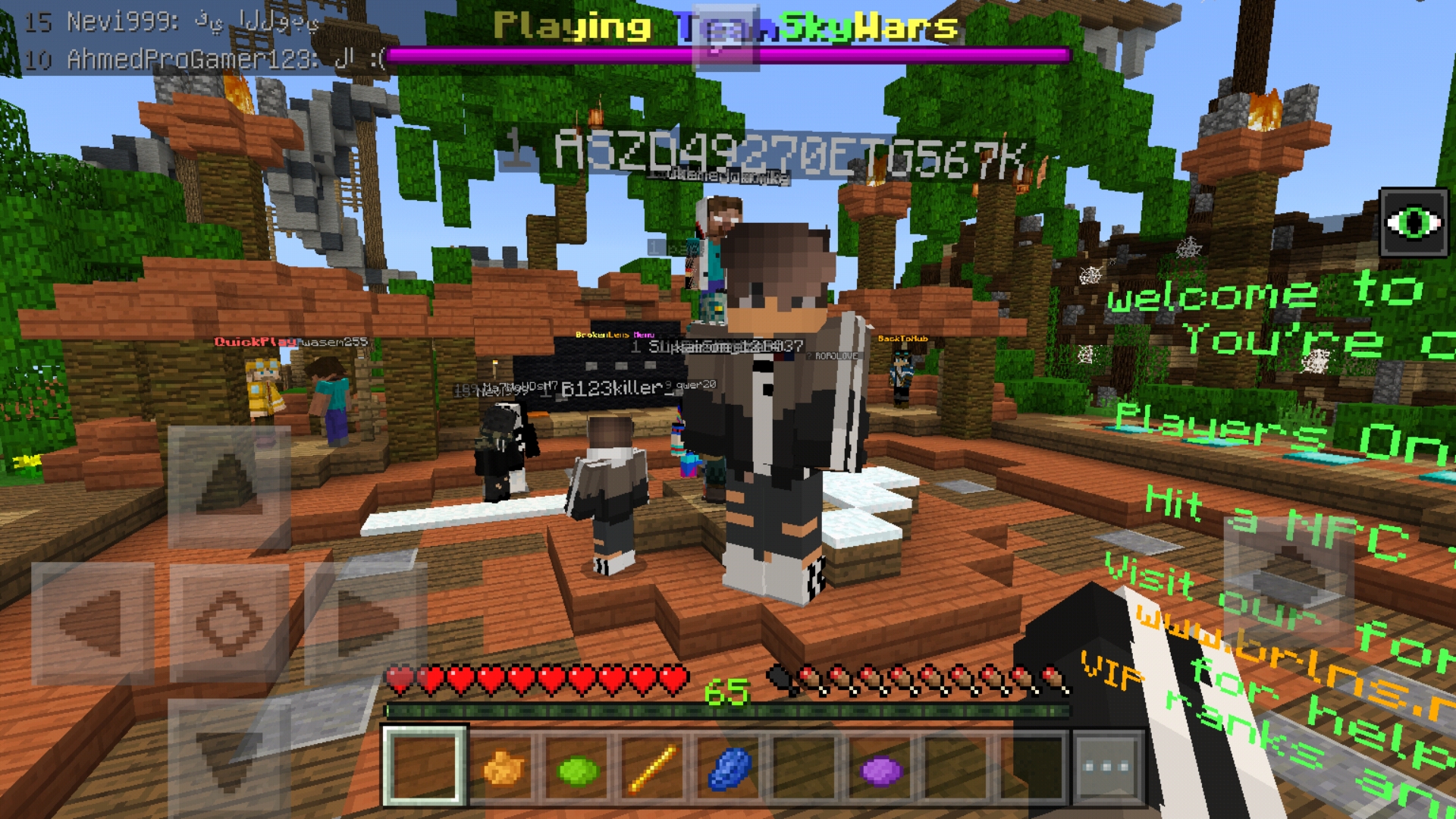 Screenshot_20180910-215639_Minecraft - Pocket Edition.jpg