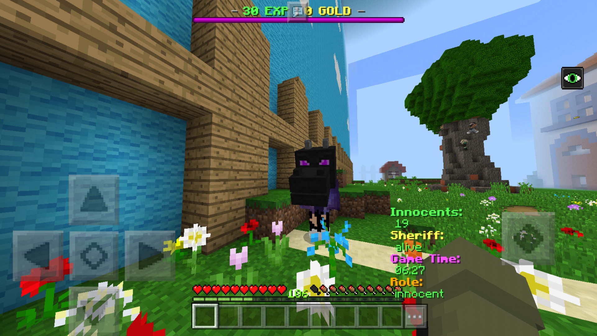 Screenshot_20181006-002250_Minecraft - Pocket Edition.jpg