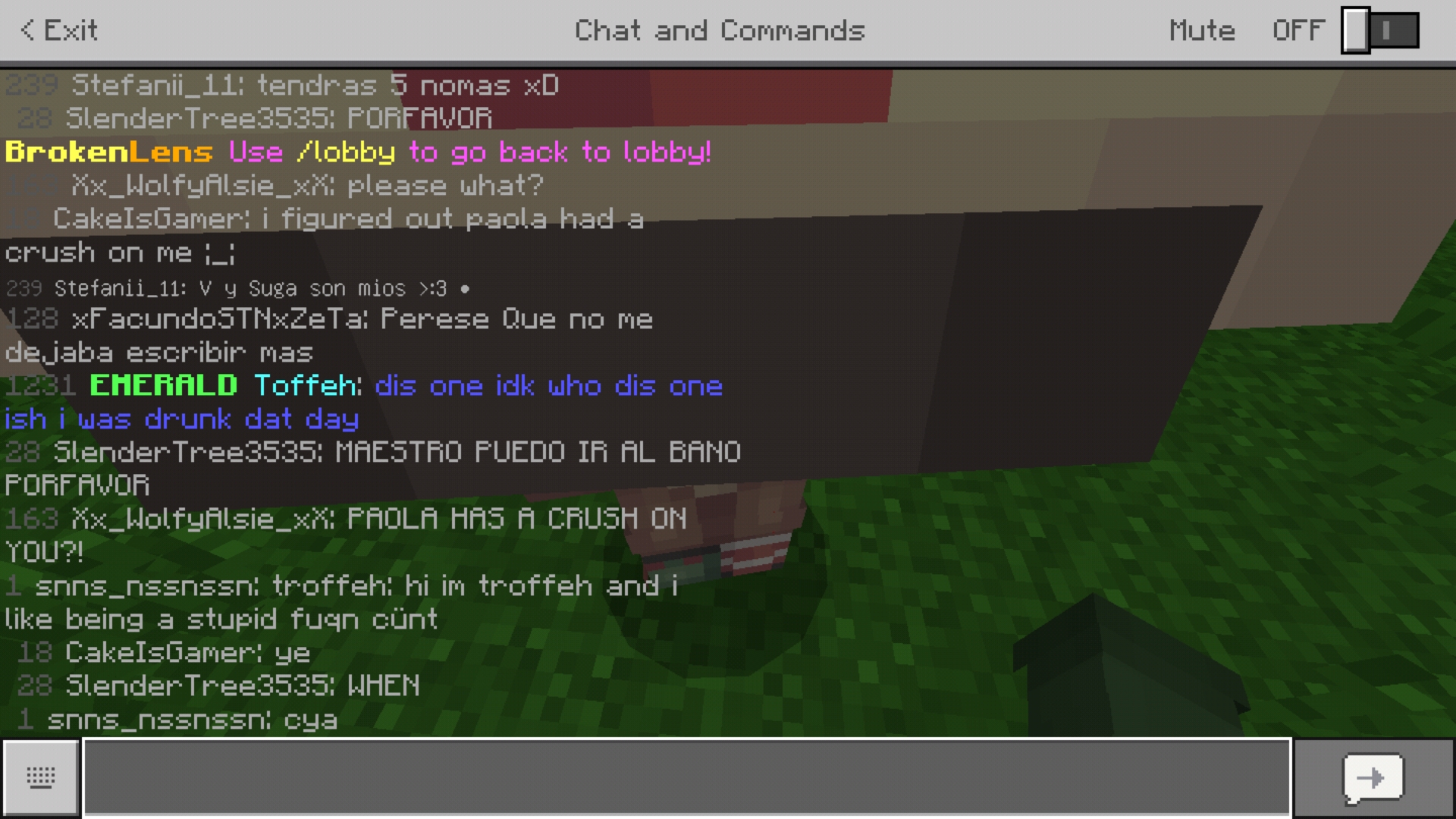 Screenshot_20181118-213304_Minecraft.jpg