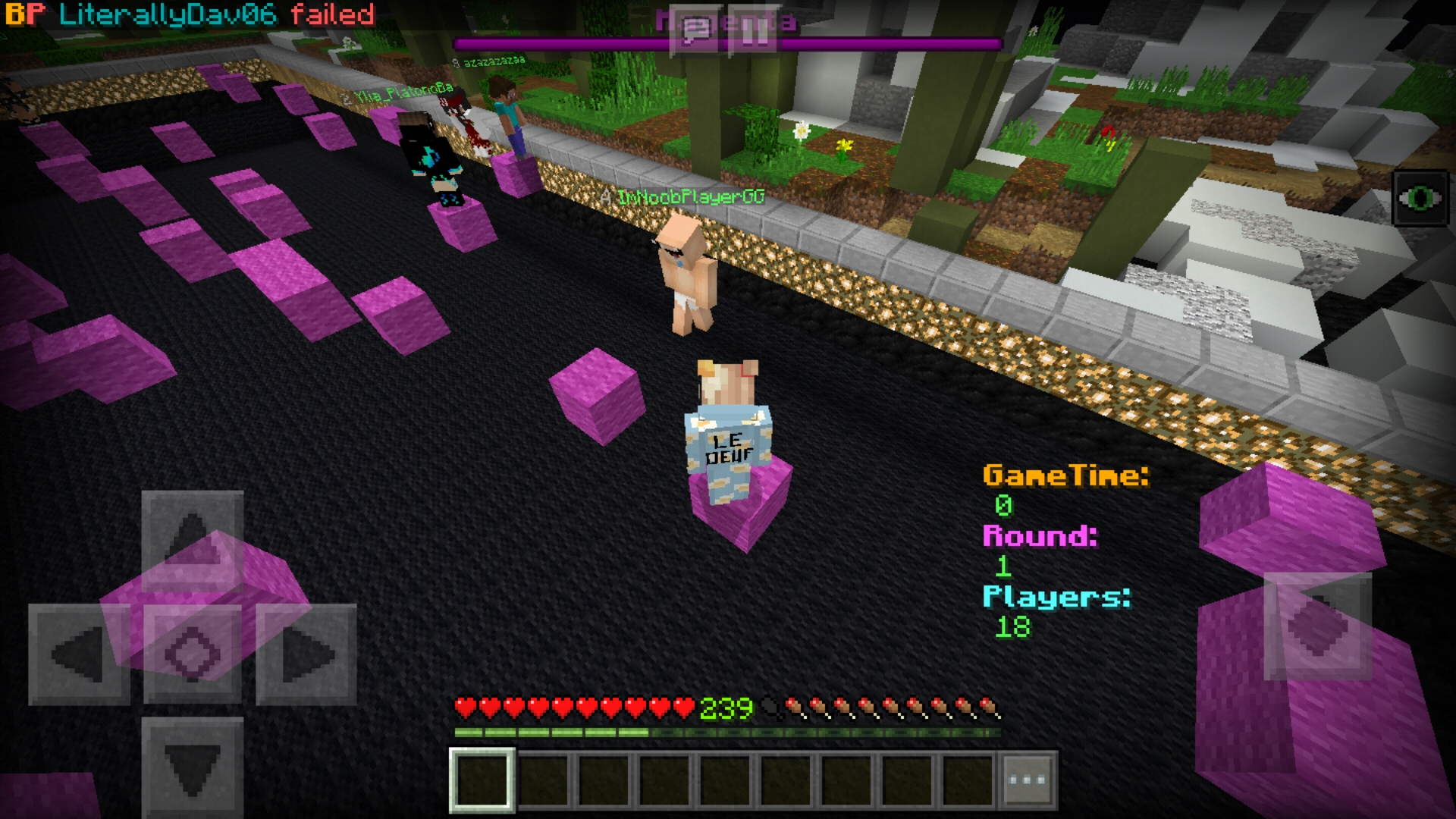 Screenshot_20181124-155757_Minecraft.jpg