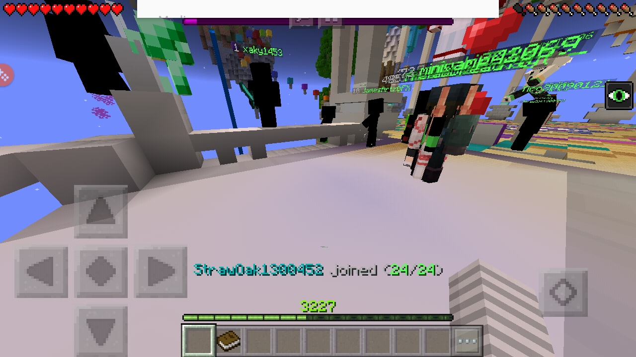 Screenshot_20181124-203633_Minecraft.jpg