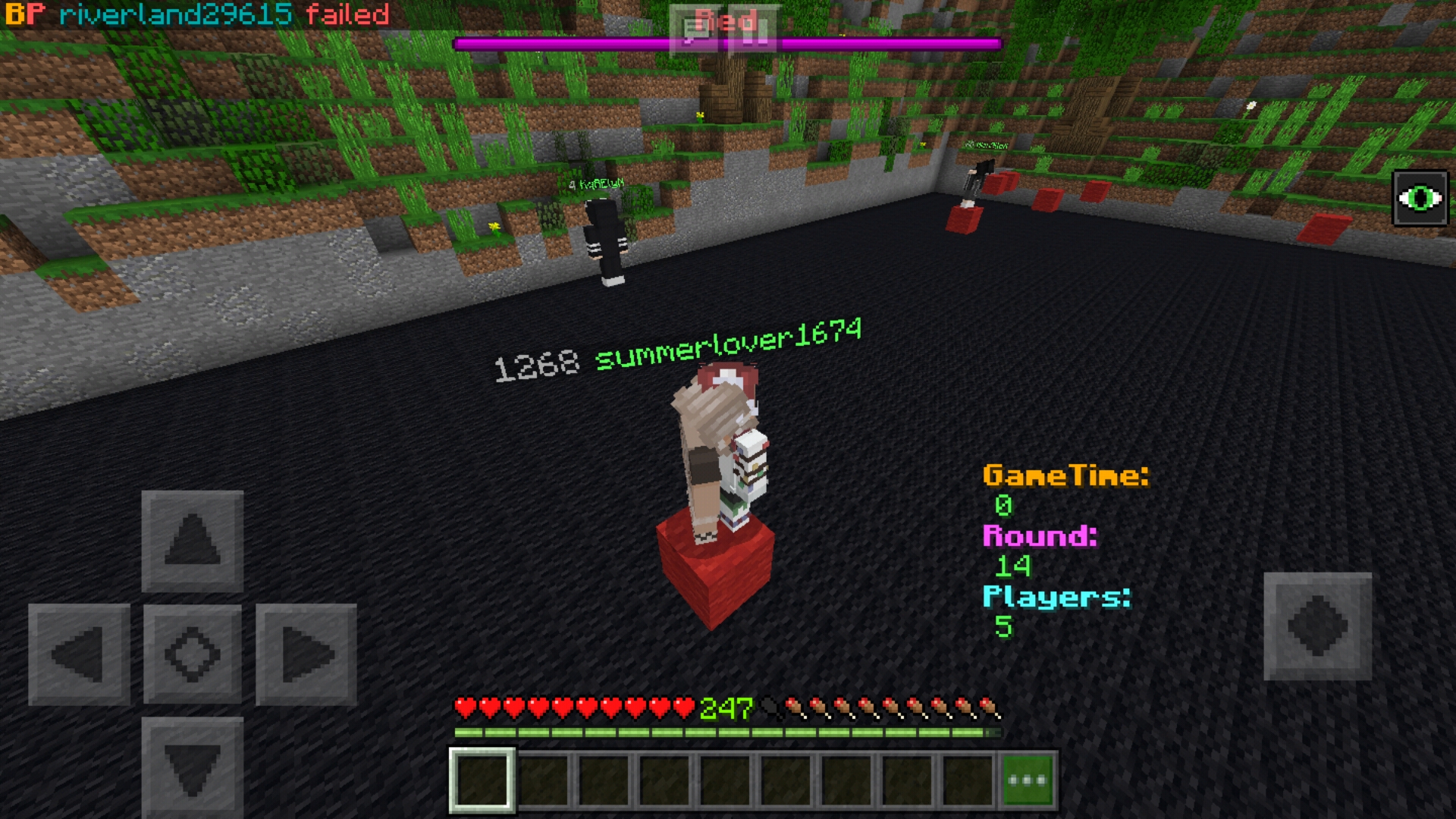 Screenshot_20181201-104801_Minecraft.jpg