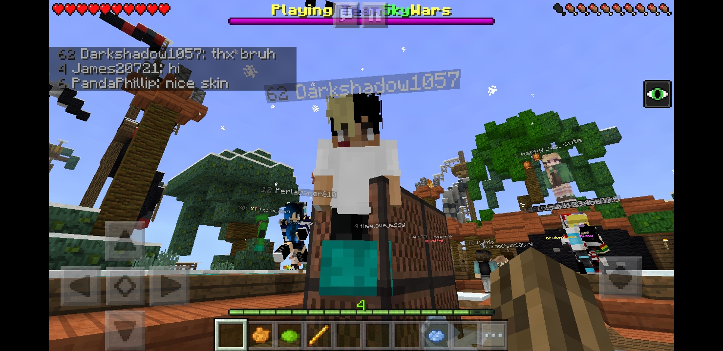 Screenshot_20181201-142627_Minecraft.jpg
