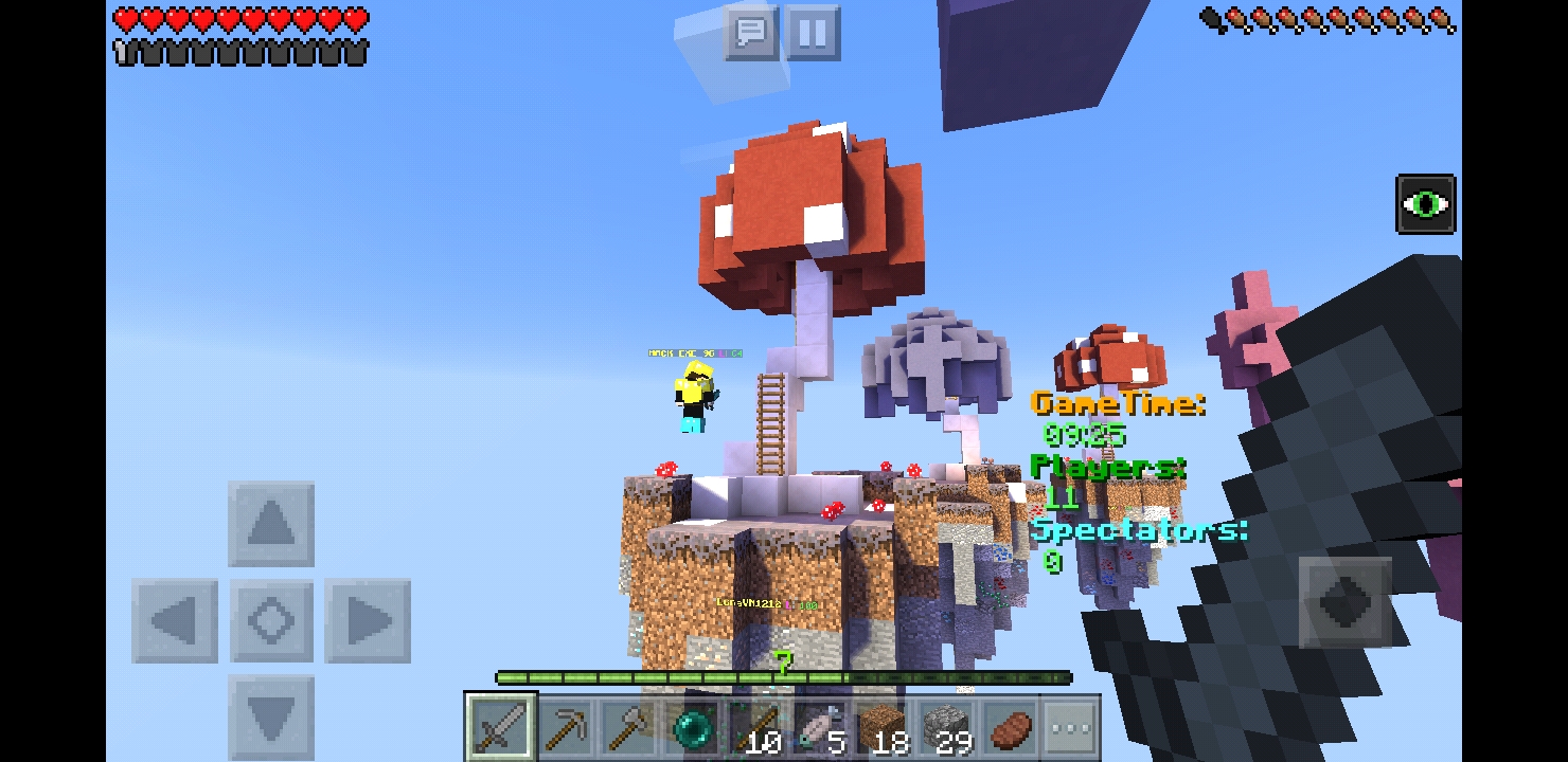Screenshot_20181202-153102_Minecraft.jpg