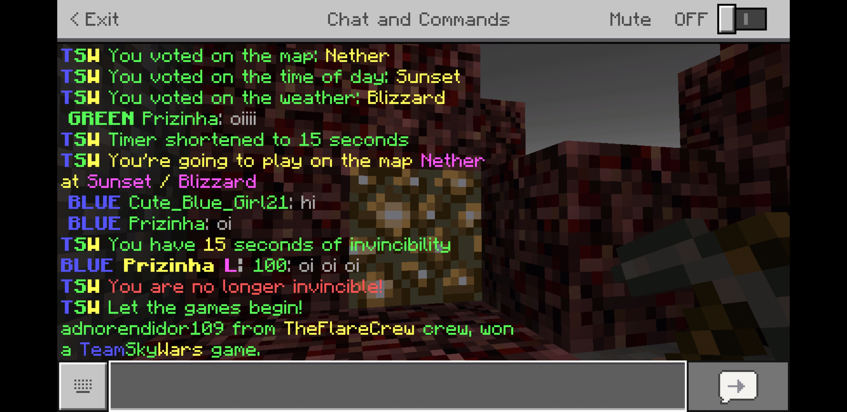 Screenshot_20181219-184317_Minecraft.jpg