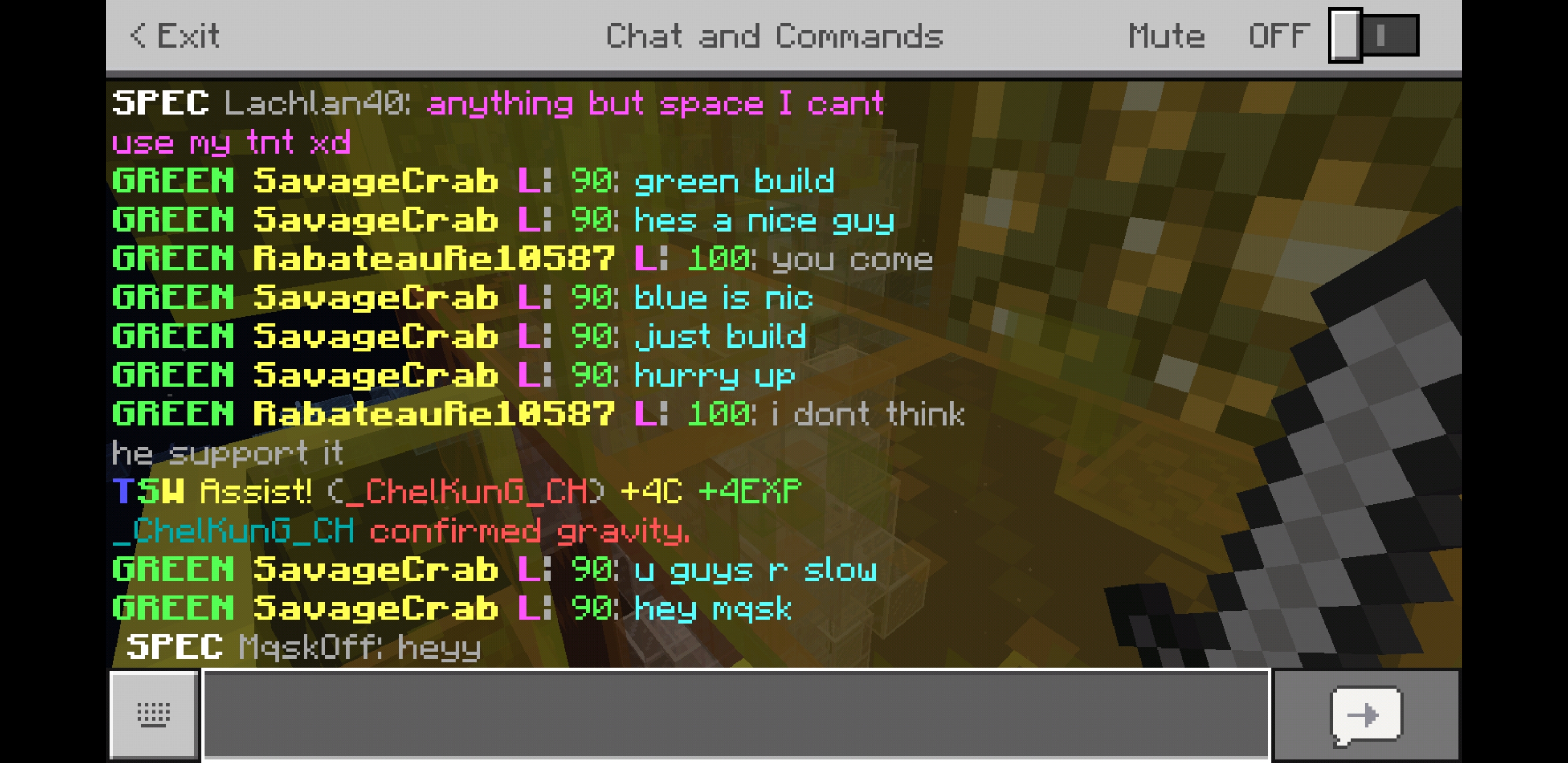Screenshot_20181220-173635_Minecraft.jpg