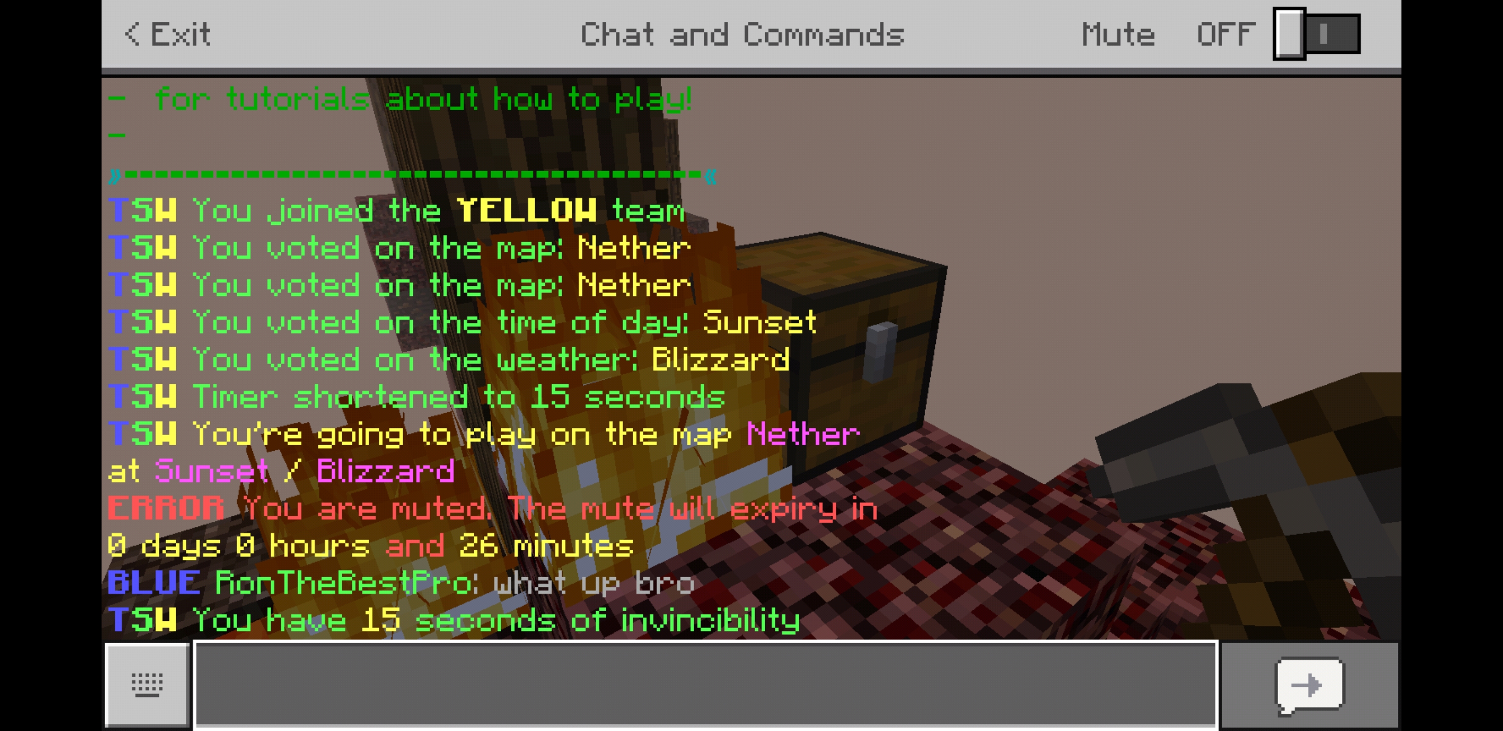 Screenshot_20181220-194229_Minecraft.jpg