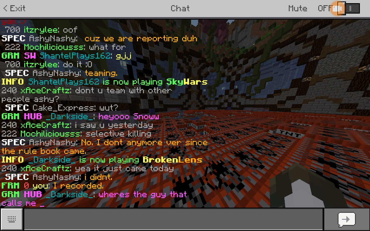 Screenshot_20181228-165426_Minecraft.jpg