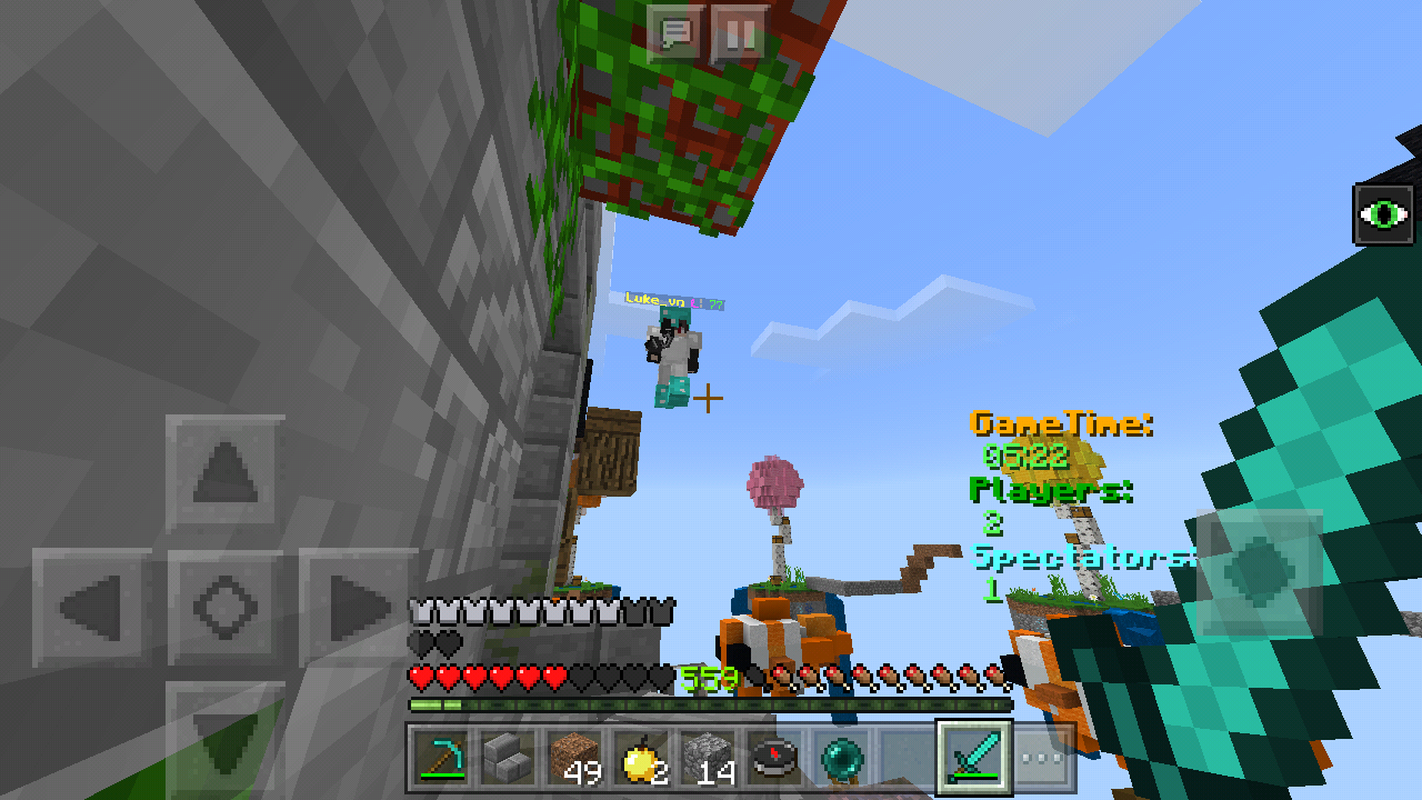 Screenshot_2019-02-17-09-03-39-946_com.mojang.minecraftpe.png