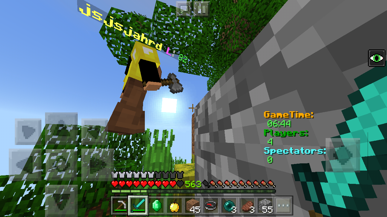 Screenshot_2019-02-19-20-59-09-863_com.mojang.minecraftpe.png