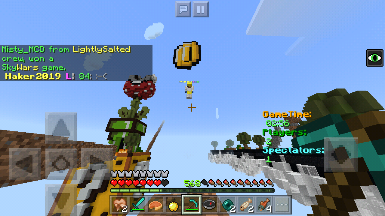 Screenshot_2019-02-21-19-08-42-435_com.mojang.minecraftpe.png