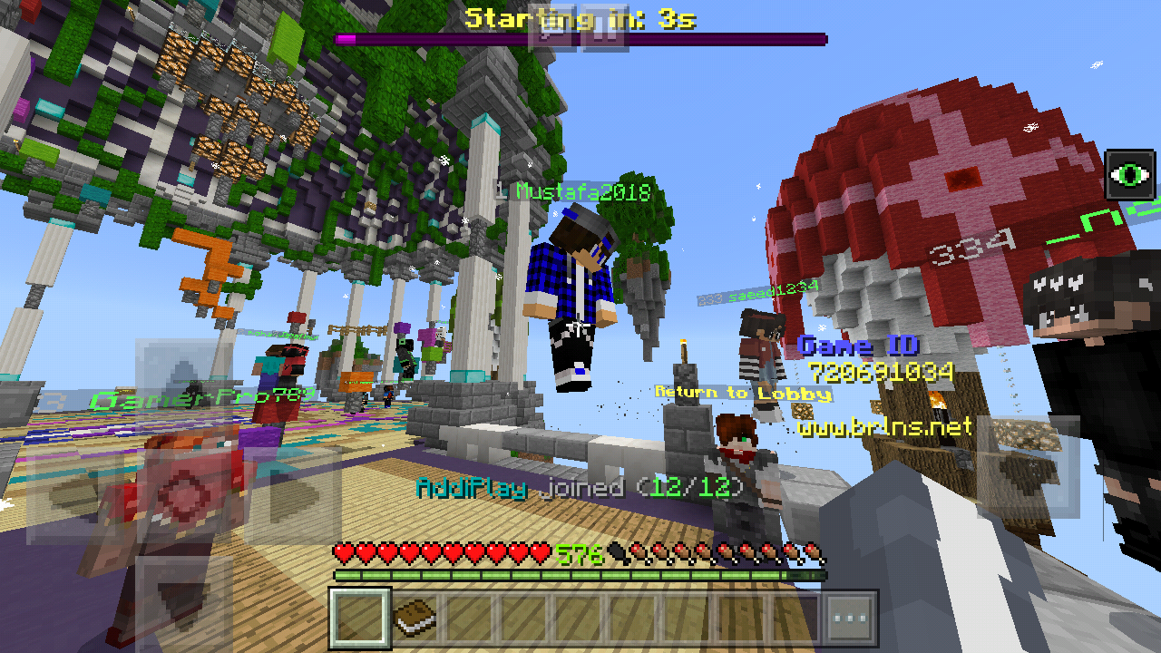 Screenshot_2019-02-24-19-58-28-347_com.mojang.minecraftpe.png