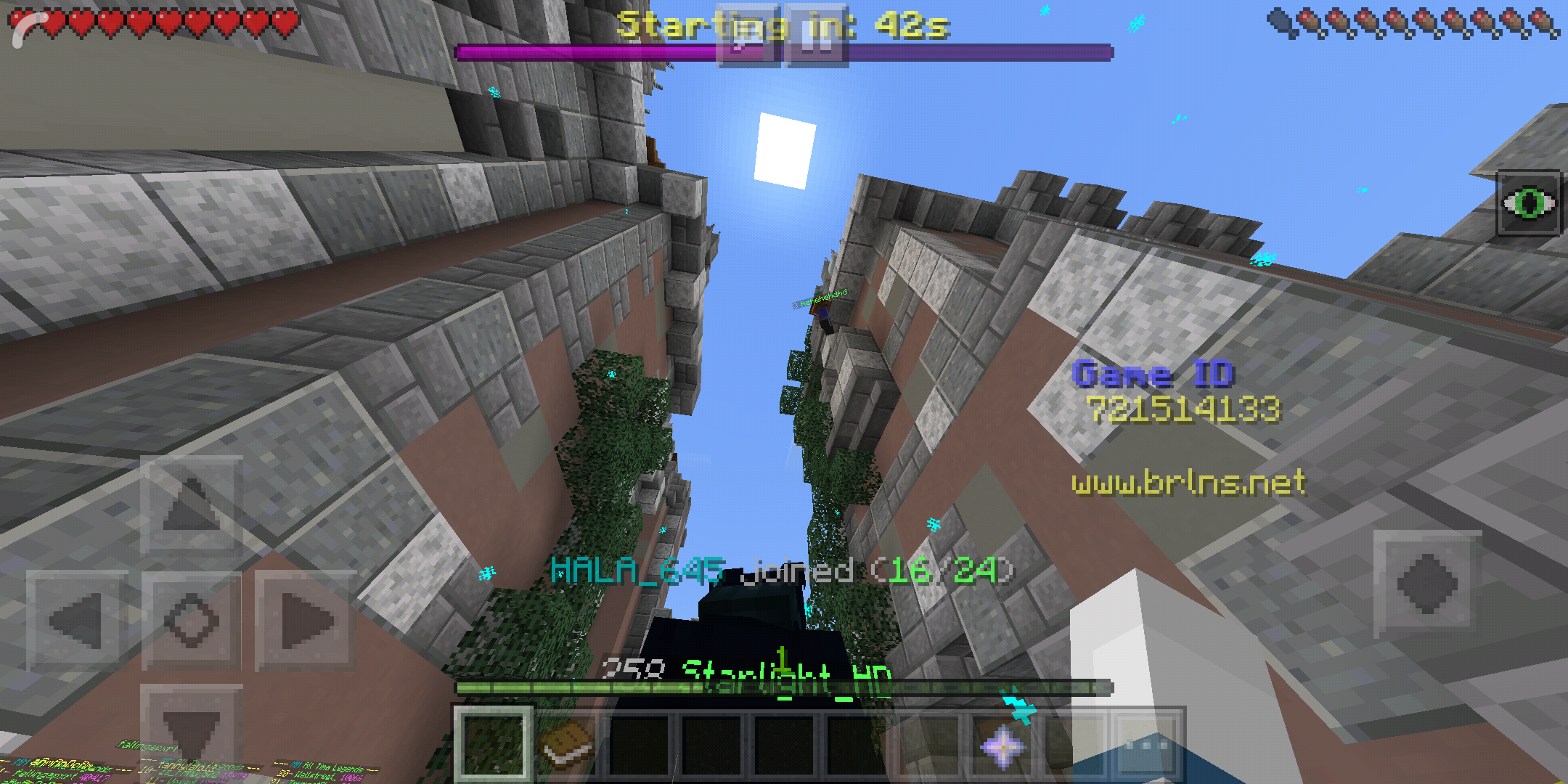 Screenshot_2019-04-04-09-53-53-645_com.mojang.minecraftpe.png