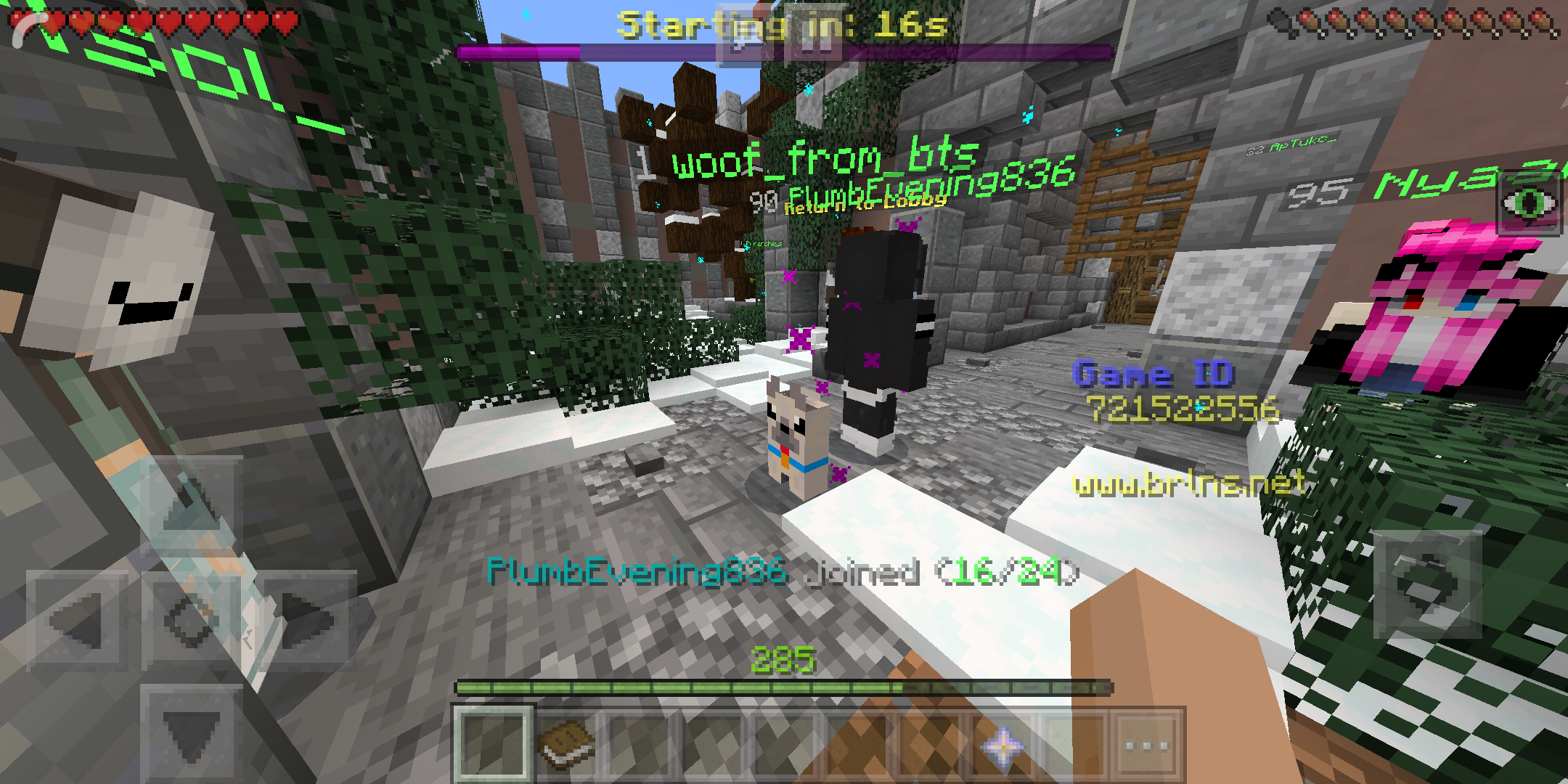 Screenshot_2019-04-04-20-11-56-515_com.mojang.minecraftpe.png