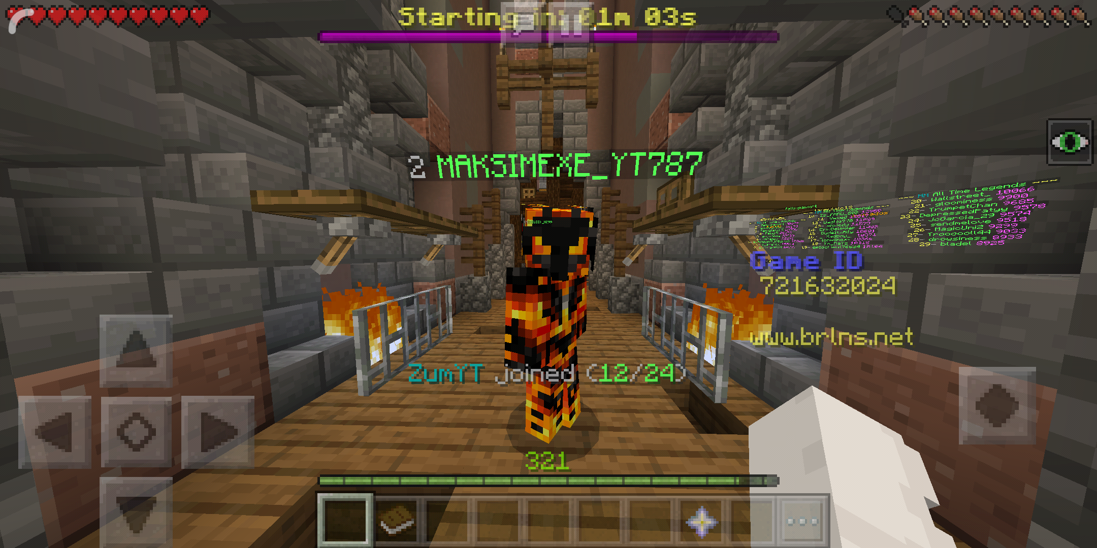 Screenshot_2019-04-10-12-50-02-921_com.mojang.minecraftpe.png