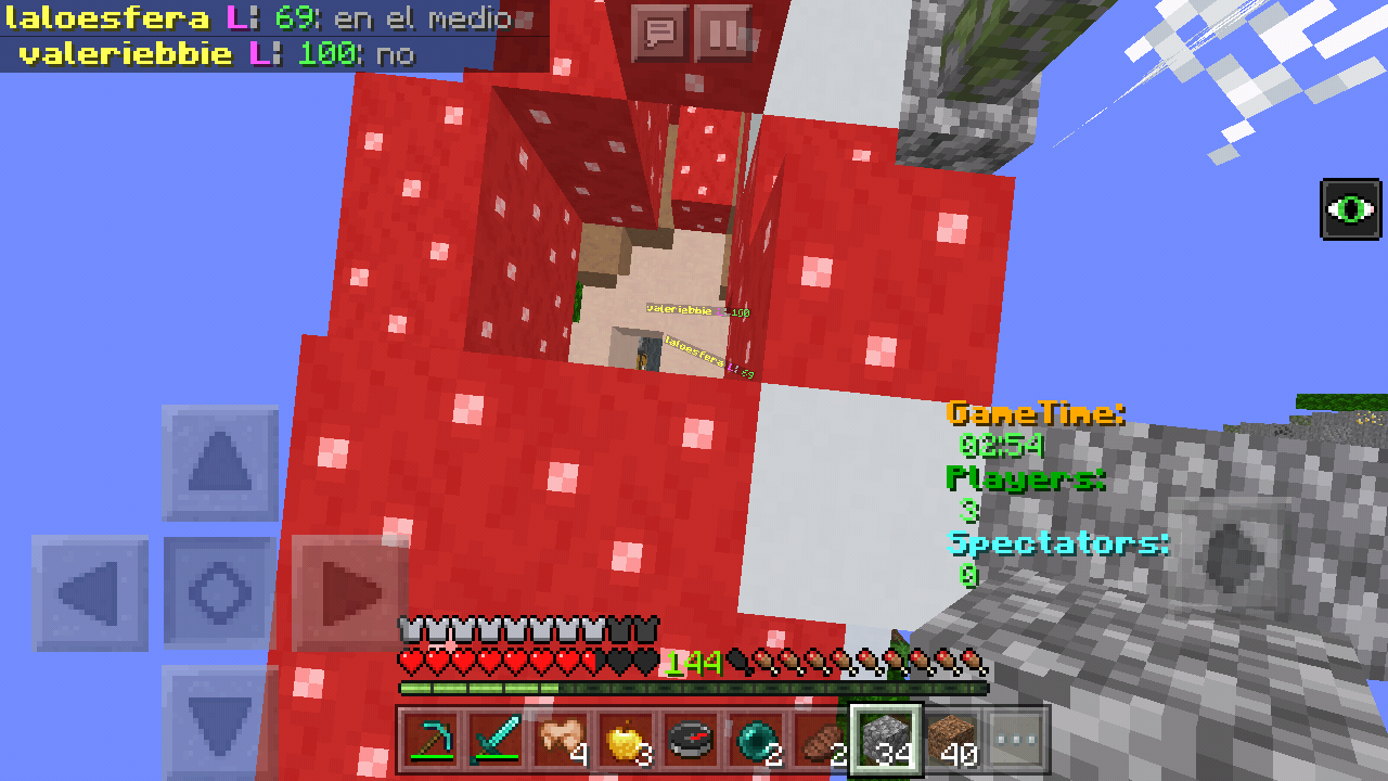 Screenshot_2019-04-27-08-16-58-509_com.mojang.minecraftpe.png