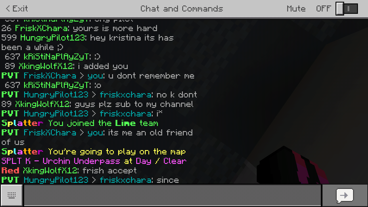 Screenshot_2019-05-28-21-46-10-543_com.mojang.minecraftpe.png