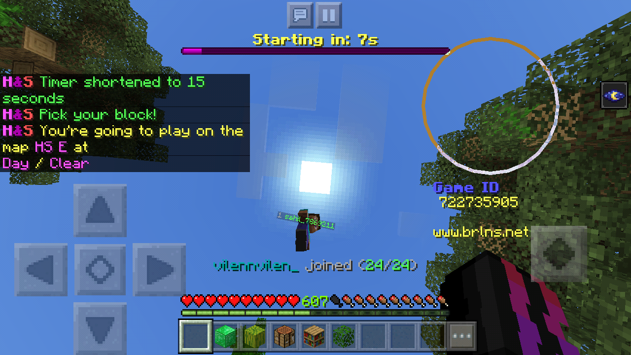 Screenshot_2019-06-01-00-04-09-687_com.mojang.minecraftpe.png