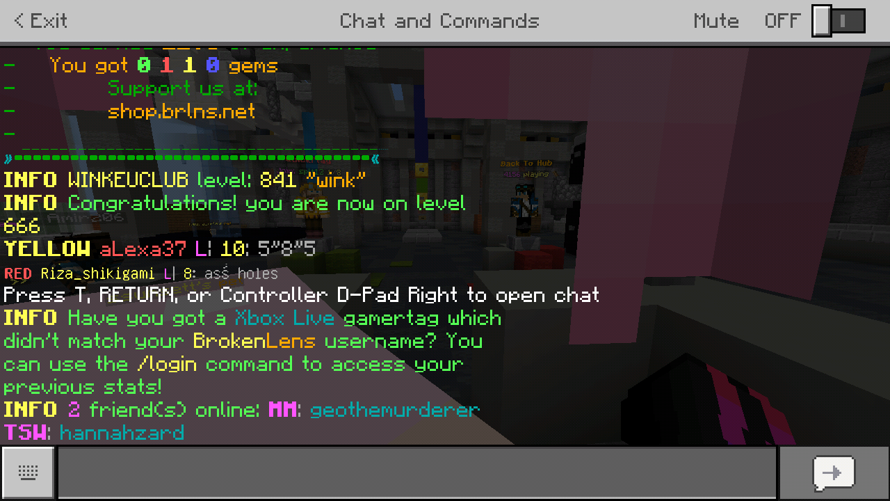 Screenshot_2019-06-03-15-51-46-684_com.mojang.minecraftpe.png